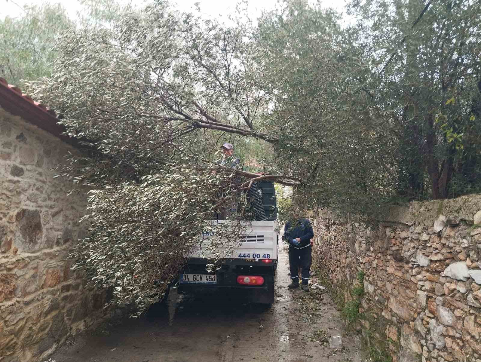 Bodrum’da fırtına etkili oldu
