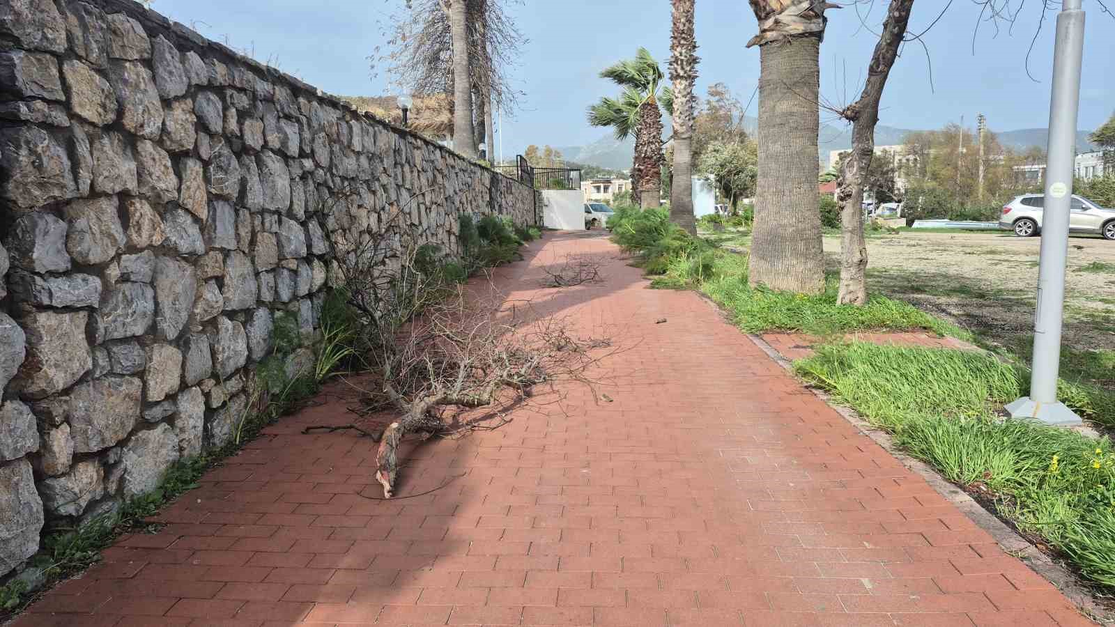 Bodrum’u kuvvetli fırtına vurdu
