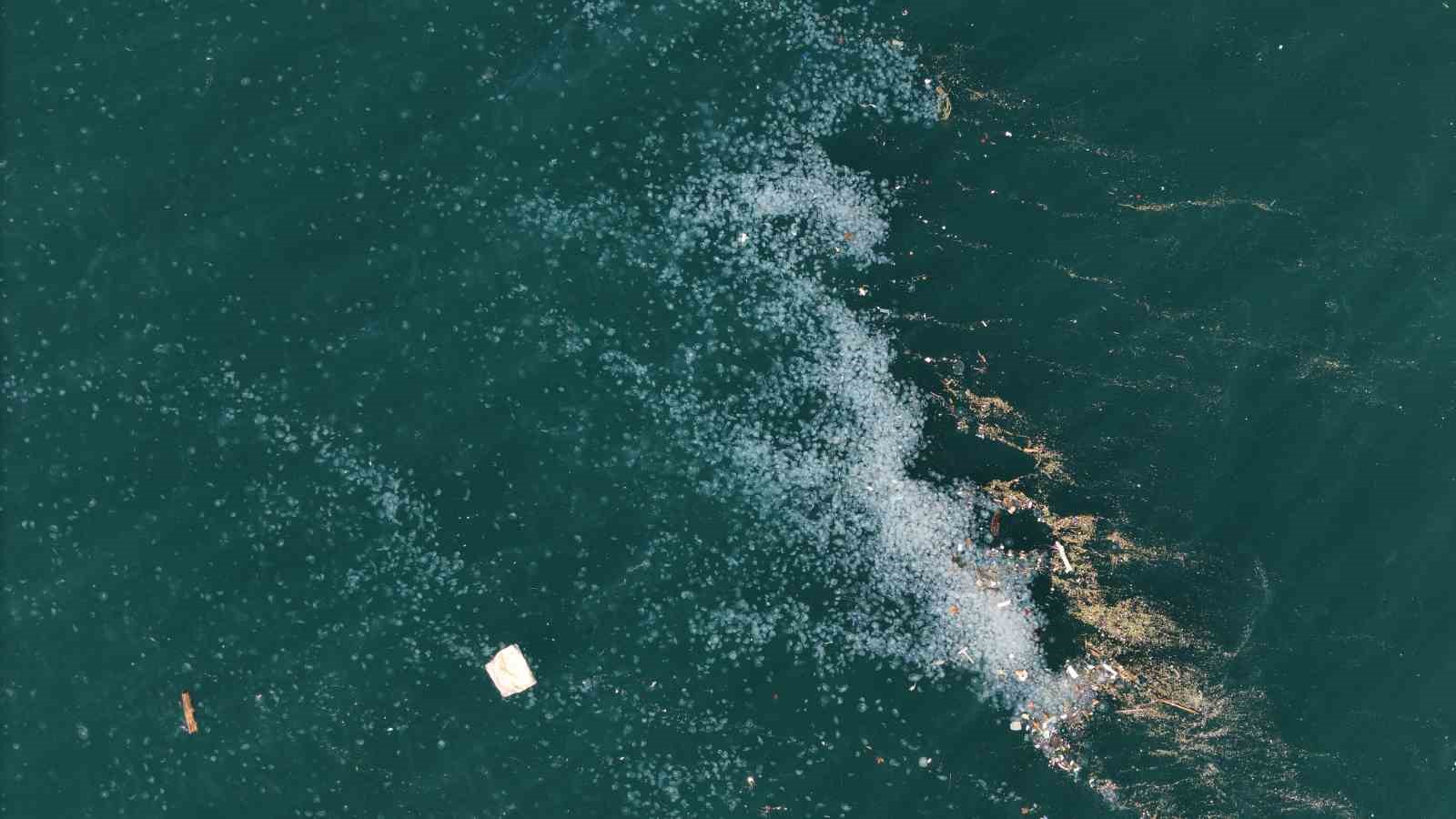 Boğaz’da alarm veren görüntü: Kirlilik denizanasını yüzeye çıkardı
