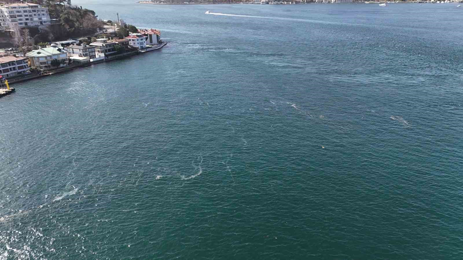 Boğaz’da alarm veren görüntü: Kirlilik denizanasını yüzeye çıkardı
