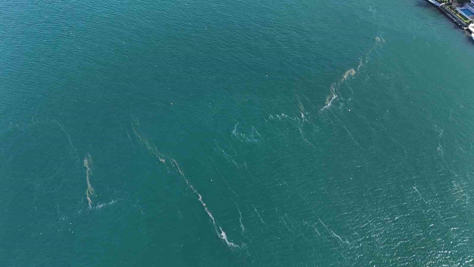 Boğaz’da alarm veren görüntü: Kirlilik denizanasını yüzeye çıkardı
