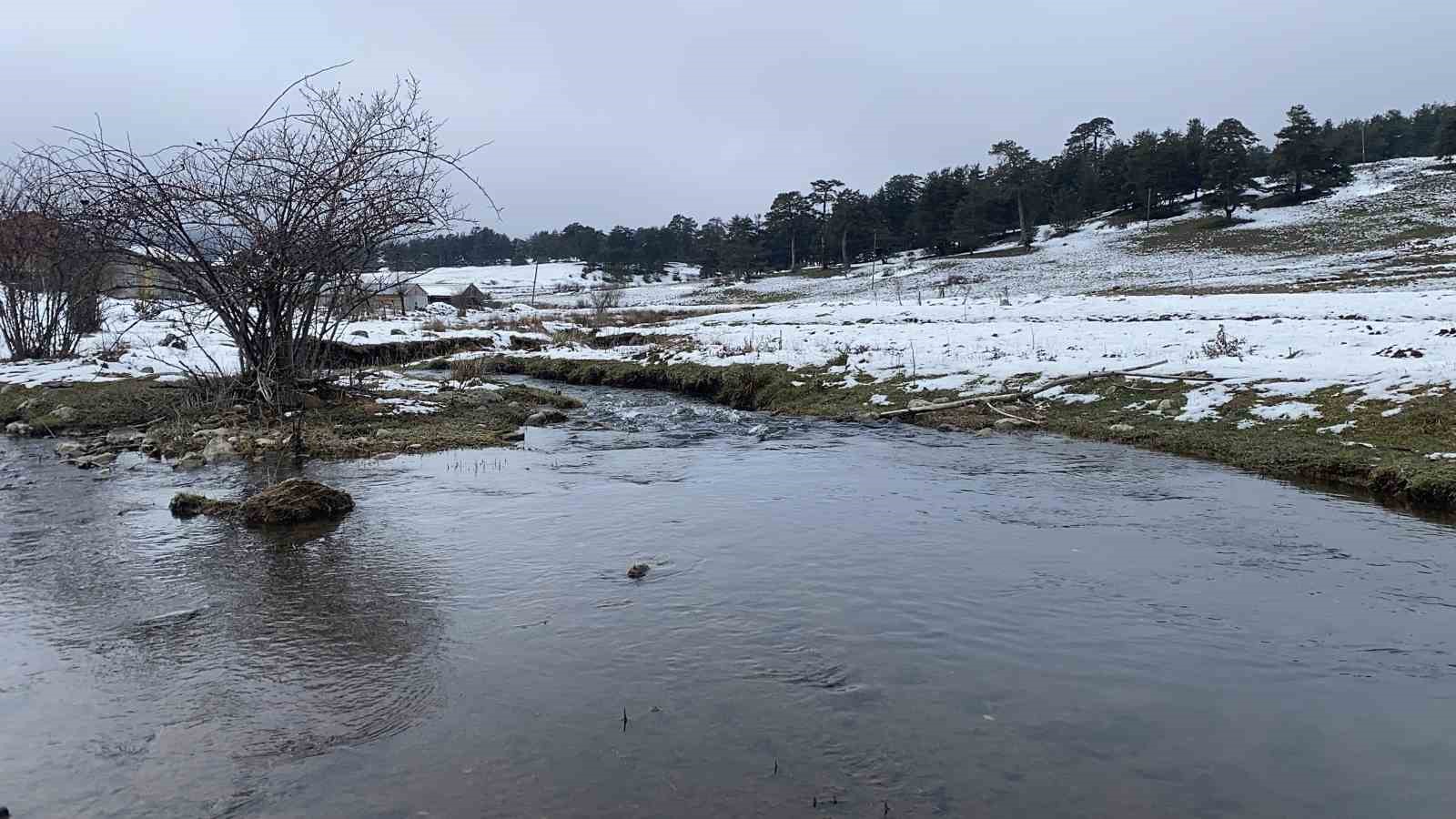 Bolu’da açan çiğdemler kar altında kaldı

