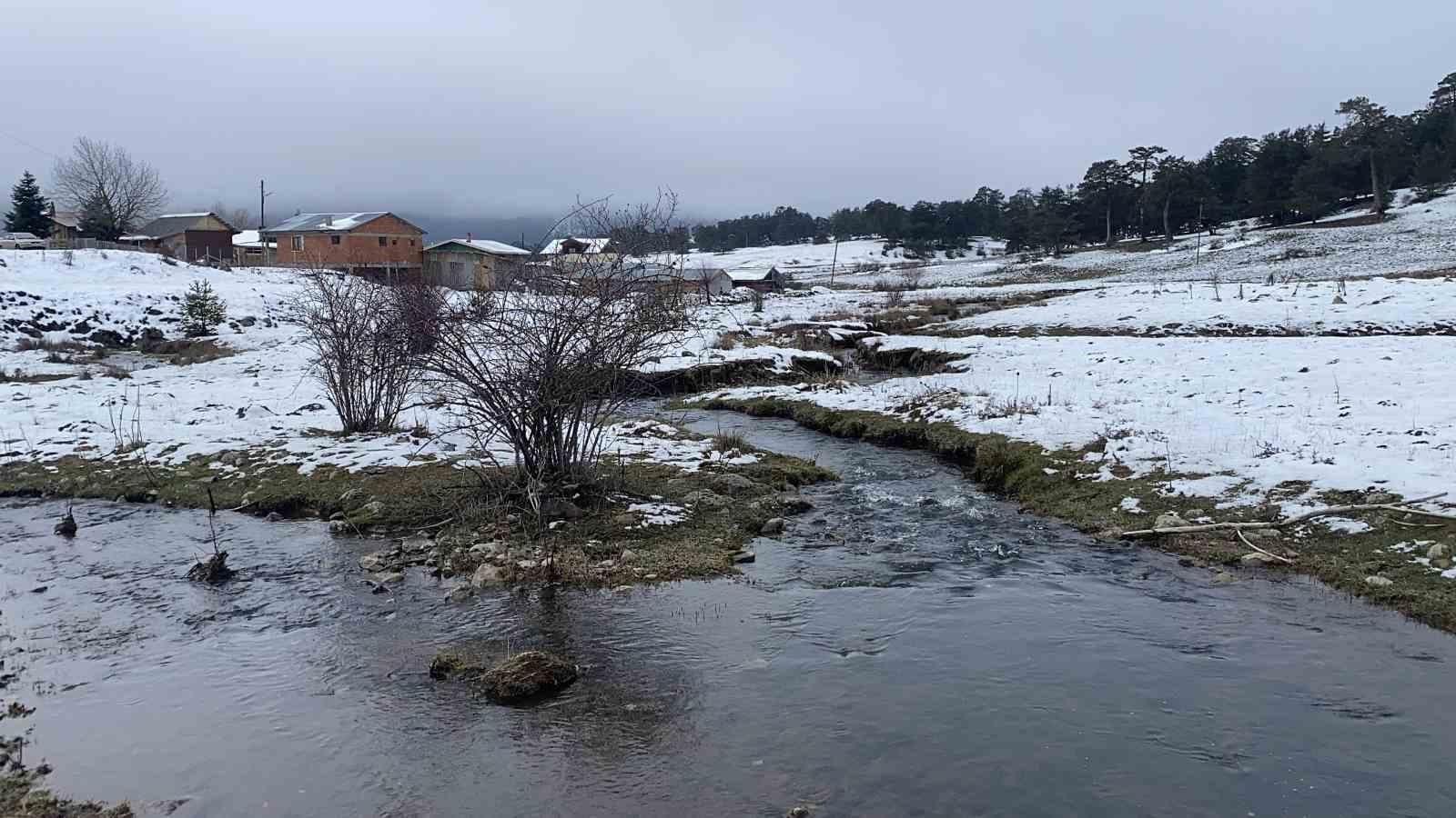 Bolu’da açan çiğdemler kar altında kaldı
