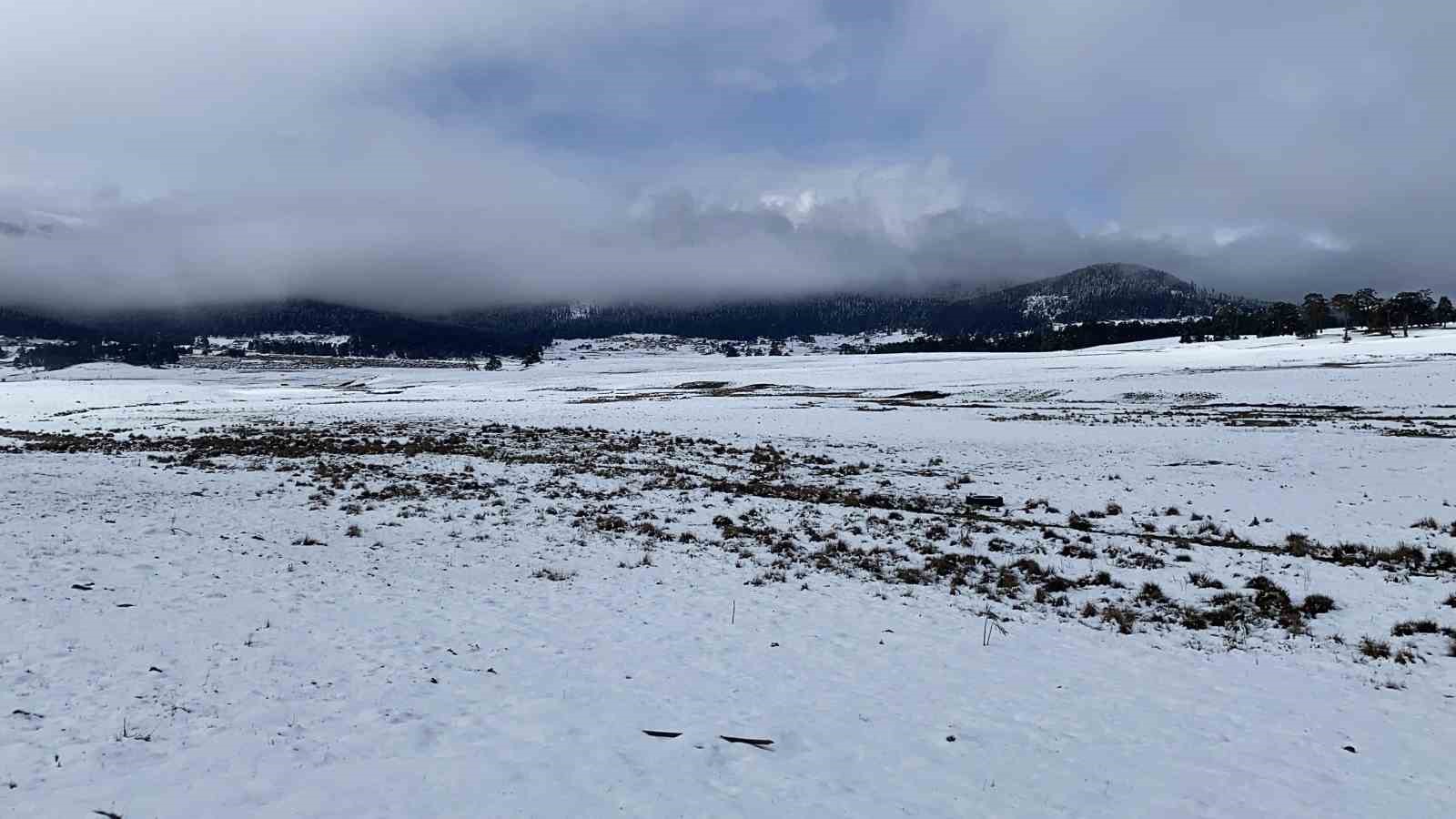 Bolu’da açan çiğdemler kar altında kaldı
