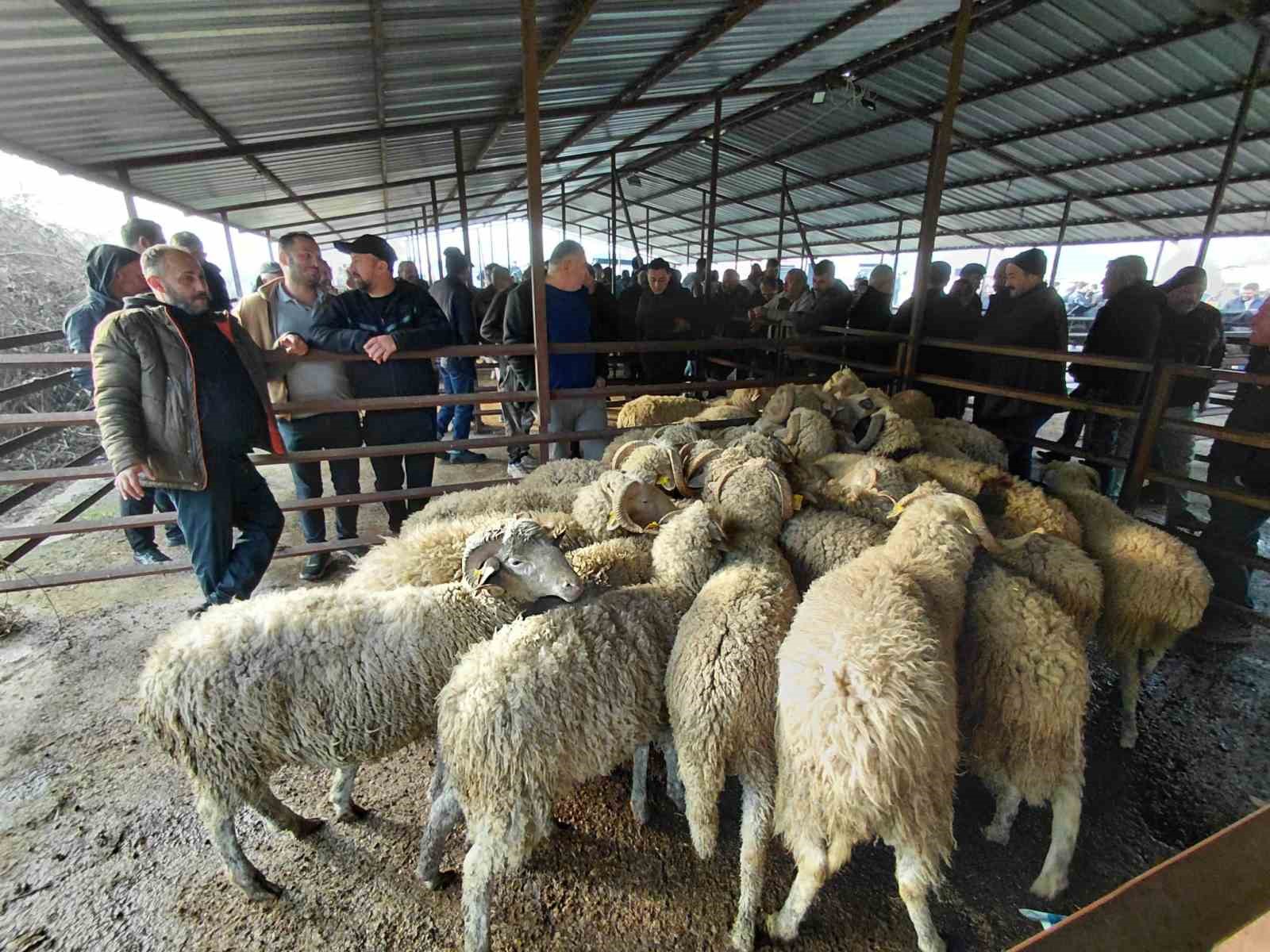 Bolu’da kurban pazarlarında hareketlilik başladı
