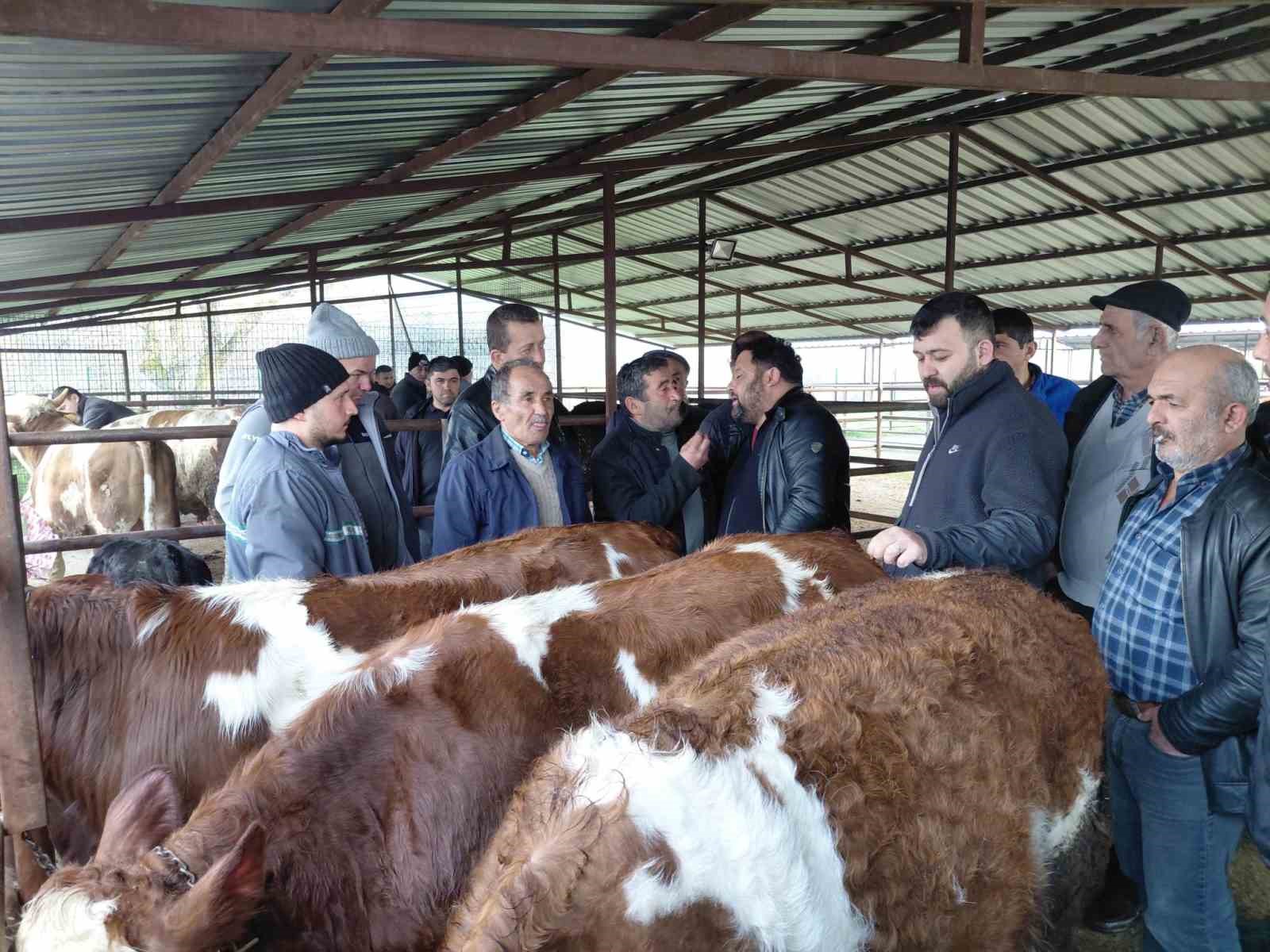 Bolu’da kurban pazarlarında hareketlilik başladı
