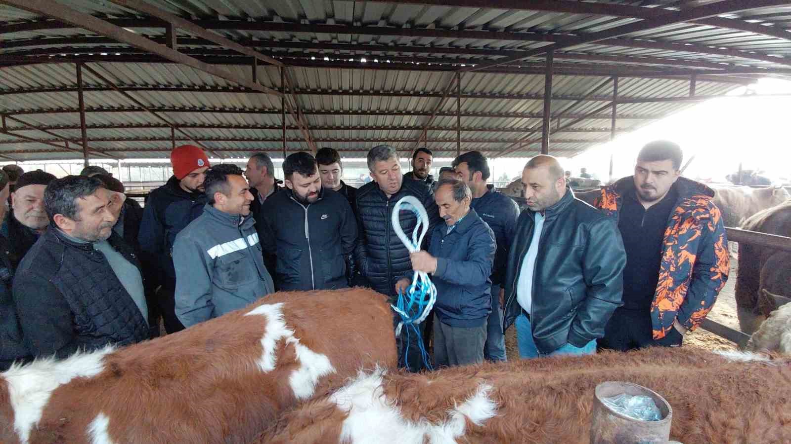 Bolu’da kurban pazarlarında hareketlilik başladı
