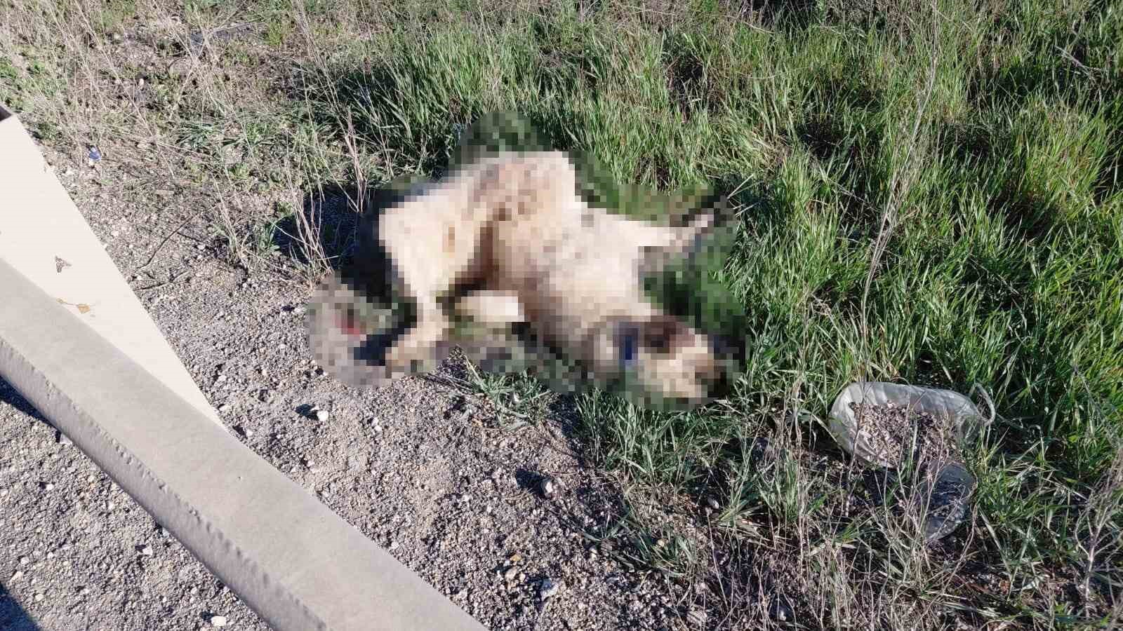 Bolu’da motosikletler peş peşe kaza yaptı: 2 yaralı
