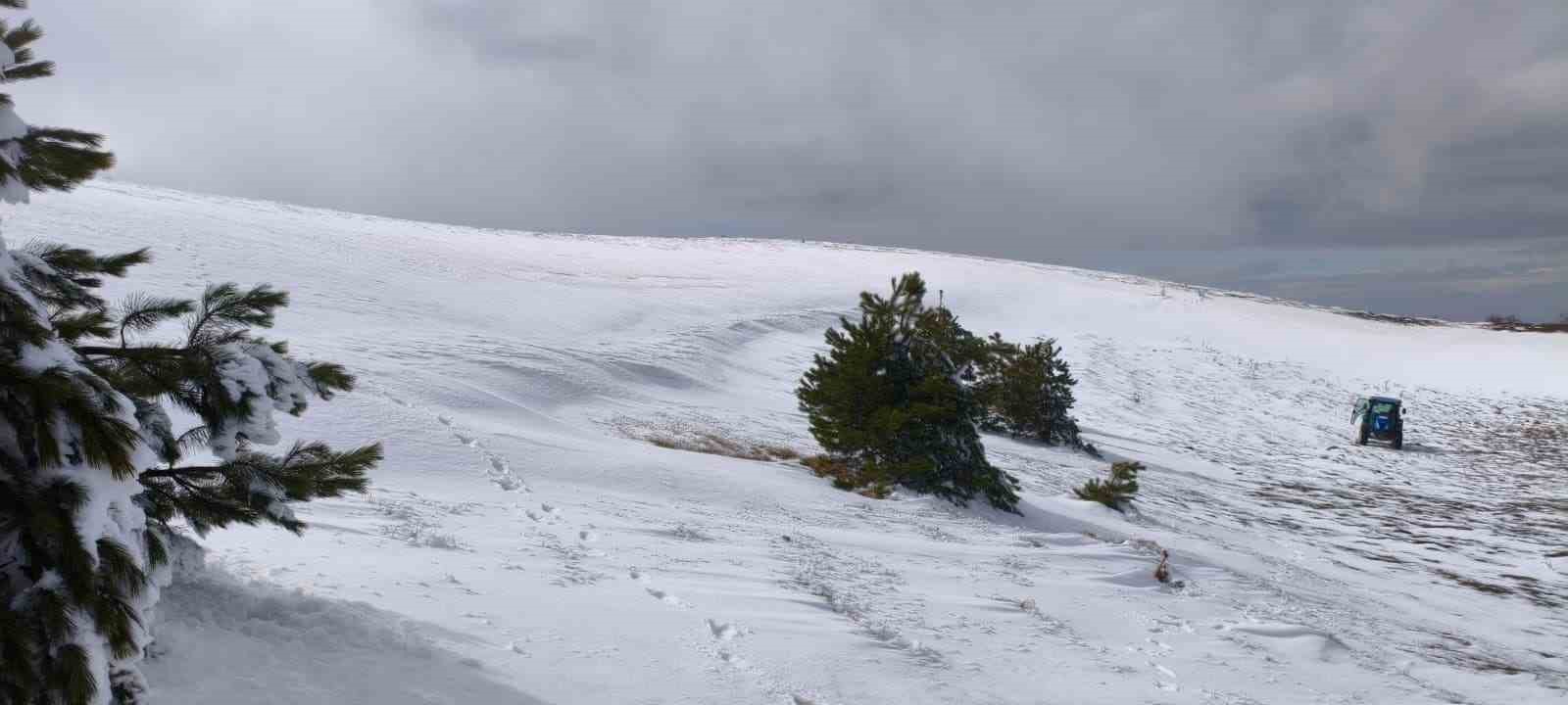 Bolu’da soğuk hava ağaçları dondurdu
