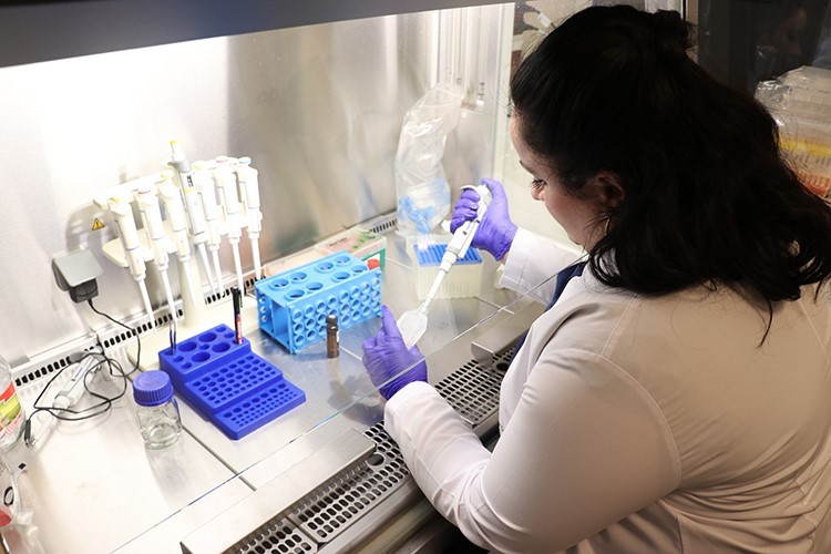 Bor madeninin kanser tedavisinde kullanımına yönelik çalışmalarda önemli sonuçlar elde edildi
