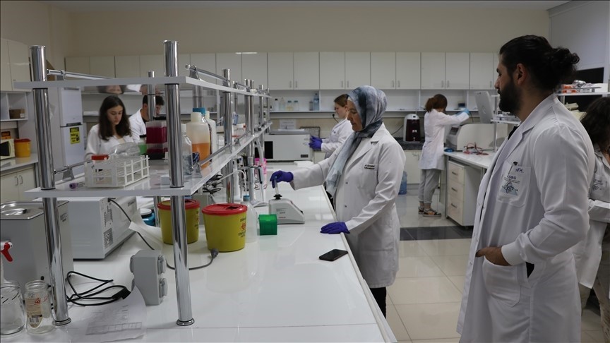 Bor madeninin kanser tedavisinde kullanımına yönelik çalışmalarda önemli sonuçlar elde edildi
