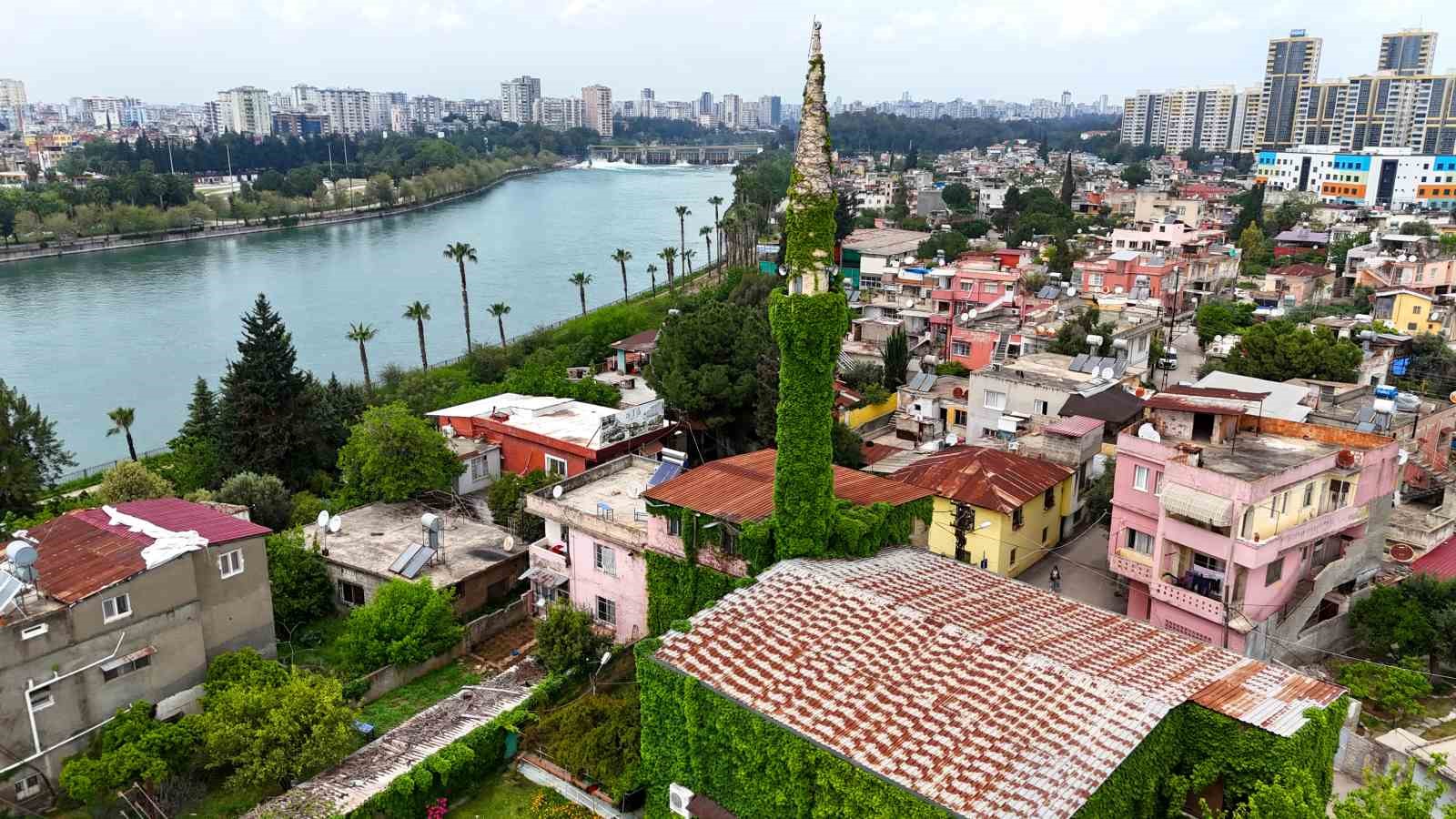 Botanik bahçeyi andıran cami, yeniden sarmaşıklarına kavuştu
