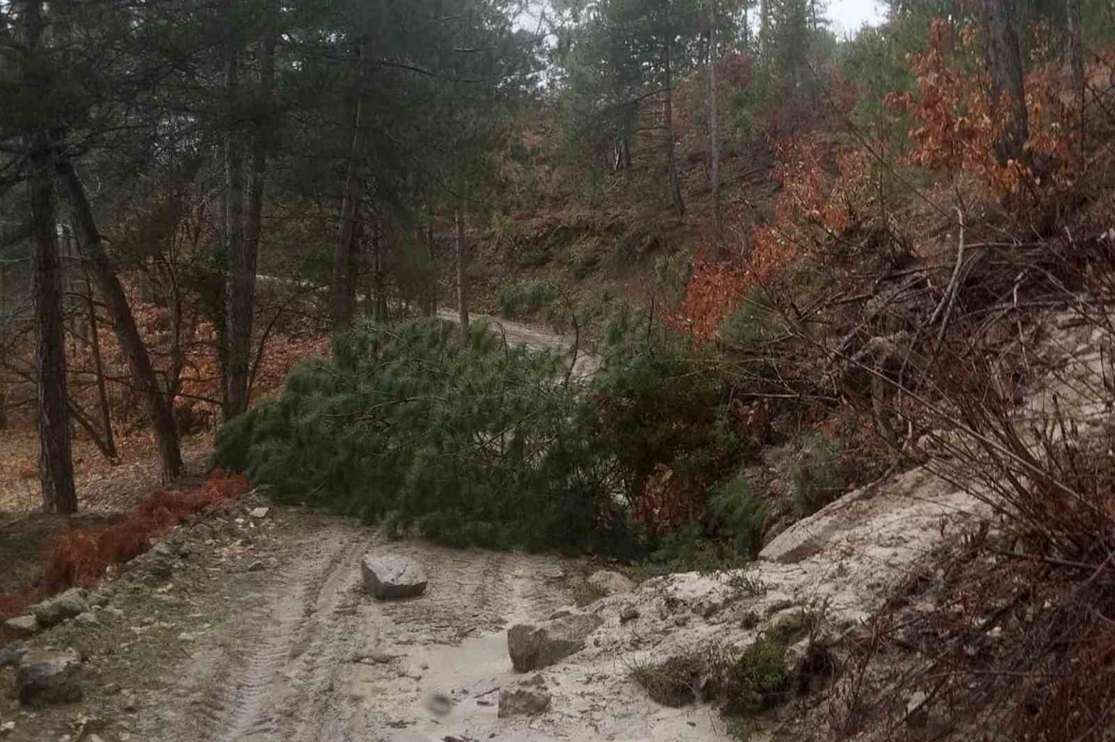 Bozdoğan Belediyesi, yağış sonrasında sahada
