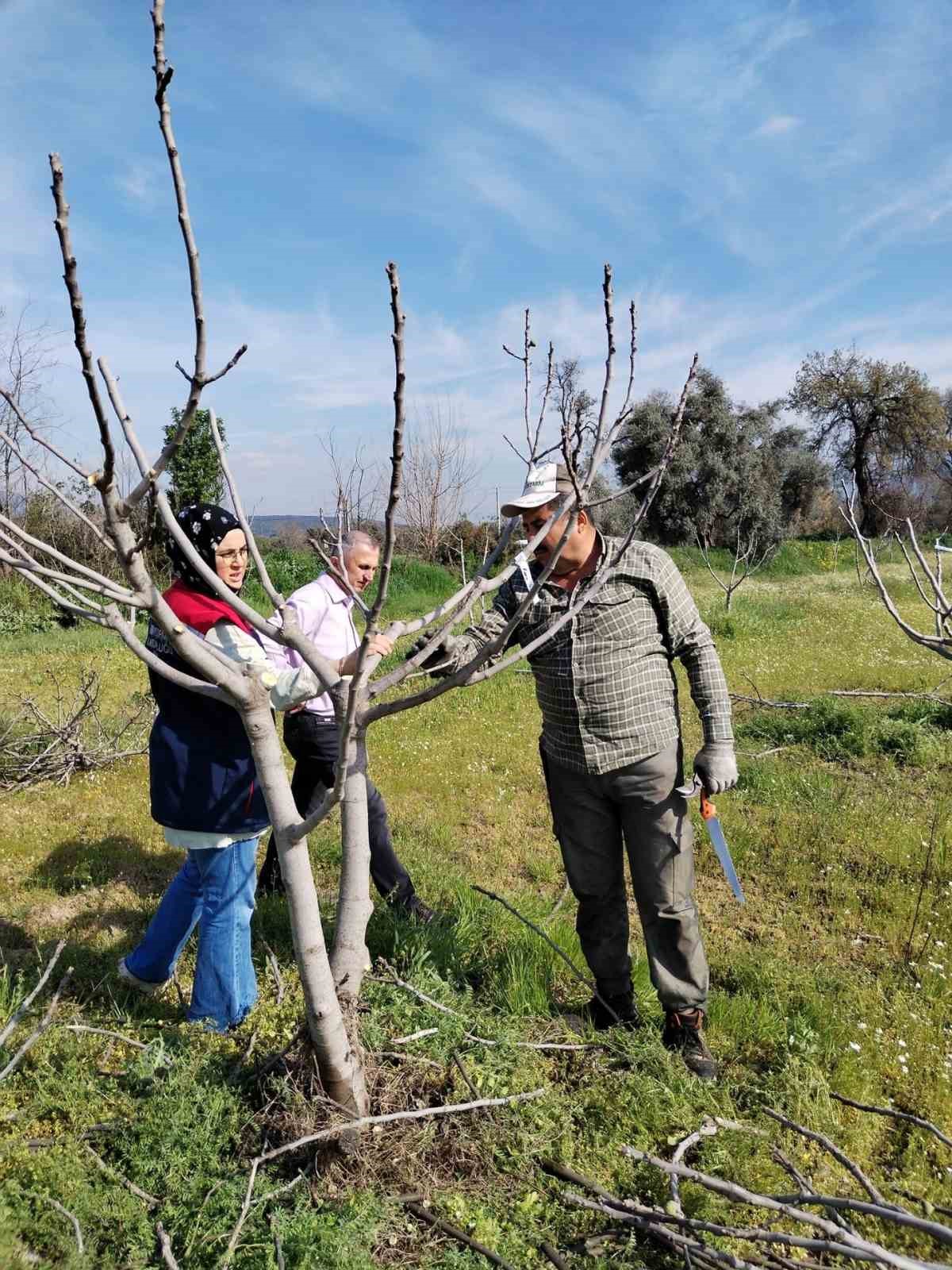 Bozdoğan İlçe Tarım ve Orman Müdürlüğü ekipleri ilek bahçesinde bakım yaptı
