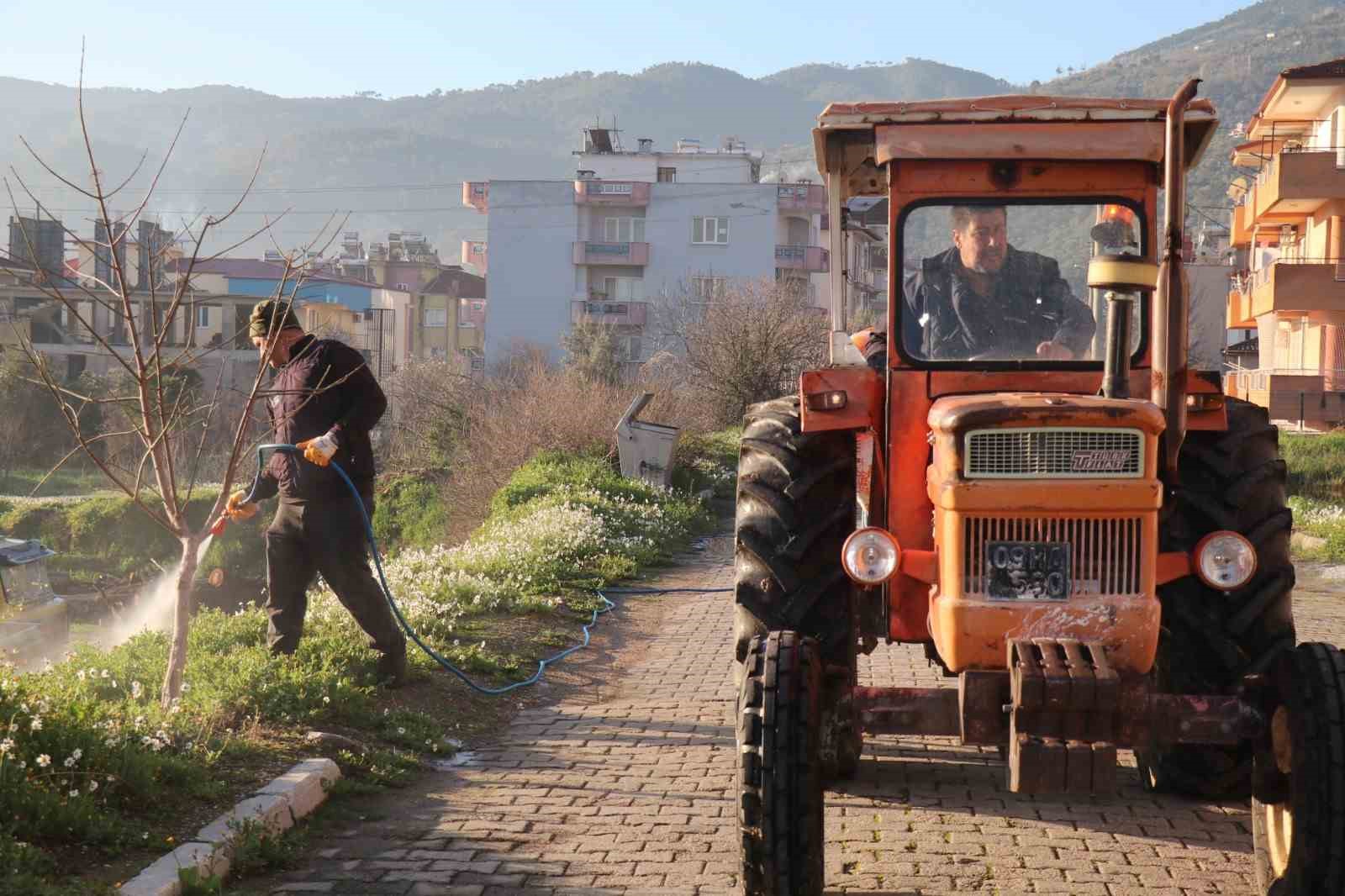 Bozdoğan’da yabani ot mücadelesi
