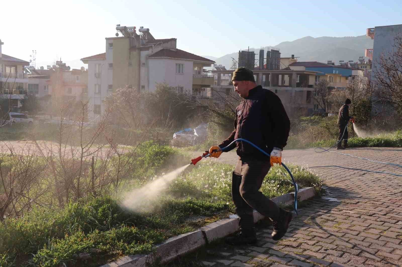 Bozdoğan’da yabani ot mücadelesi
