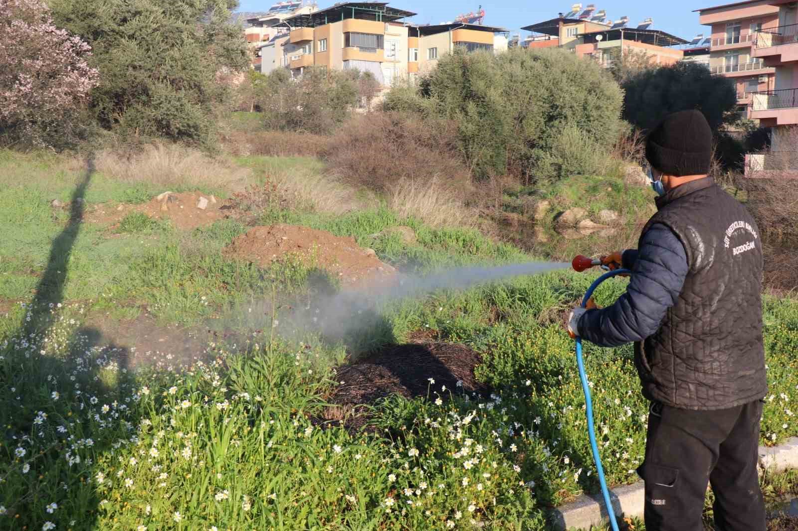 Bozdoğan’da yabani ot mücadelesi

