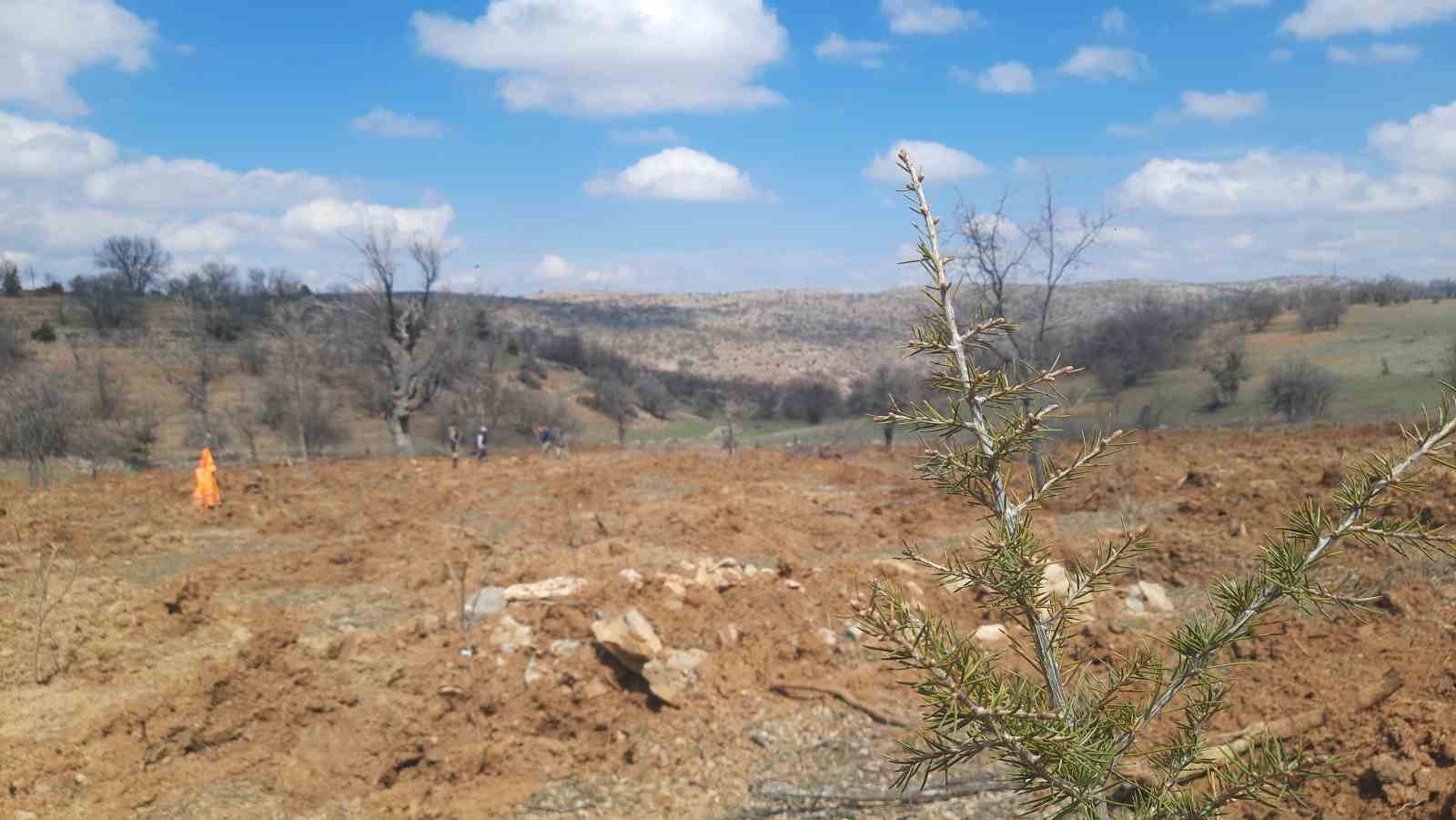 Bozkır’da 13 dönümlük alanda dev ağaçlandırma projesi
