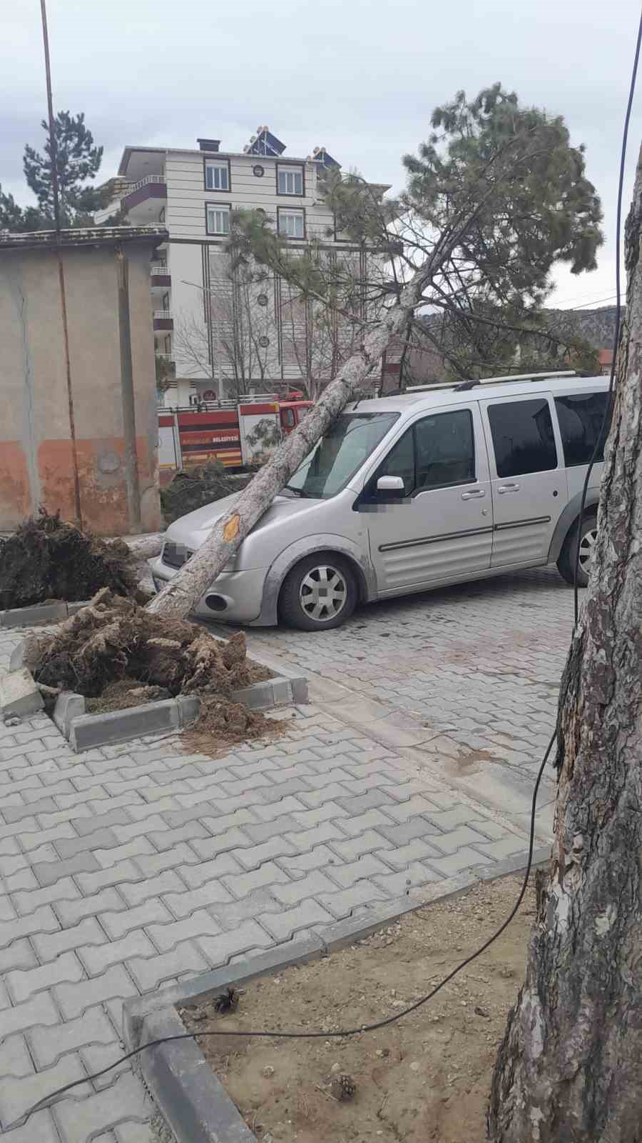 Bozkır’da fırtına çatıları uçurdu, ağaçları devirdi
