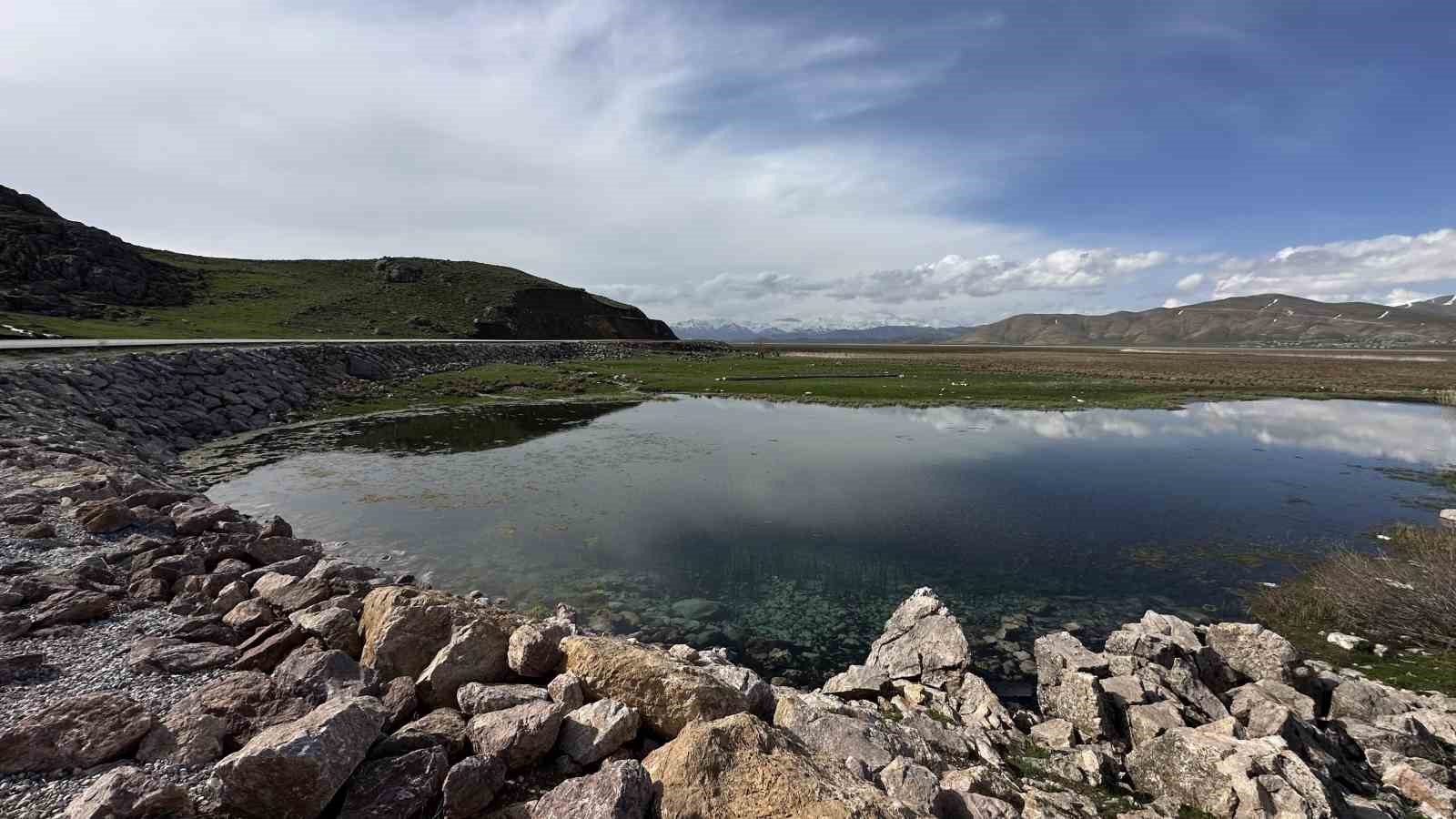 Brezilya’nın ‘Yılan Adası’ değil Yüksekova
