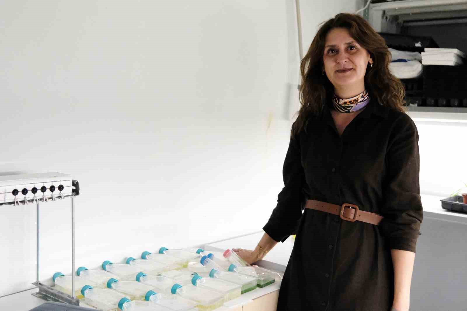 BŞEÜ akademik alanda önemli bir başarıya imza attı
