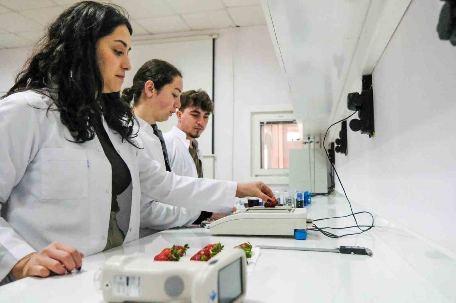 BŞEÜ’de ’Analiz Laboratuvarı’ tarım araştırmalarına güç katacak
BŞEÜ’de ’Analiz Laboratuvarı’ tarım araştırmalarına güç katacak