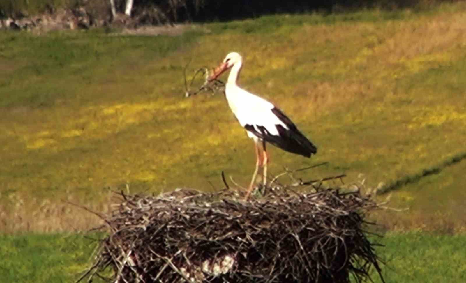 Bu da Leyleğin hırsızı
