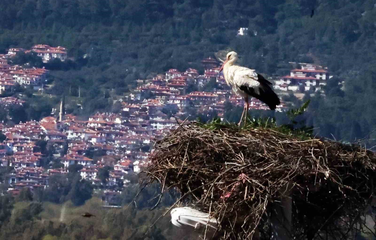 Bu da Leyleğin hırsızı
