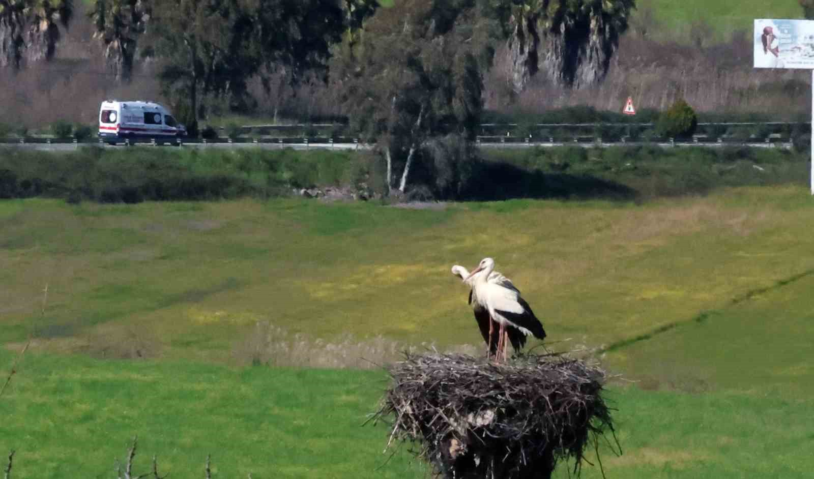 Bu da Leyleğin hırsızı
