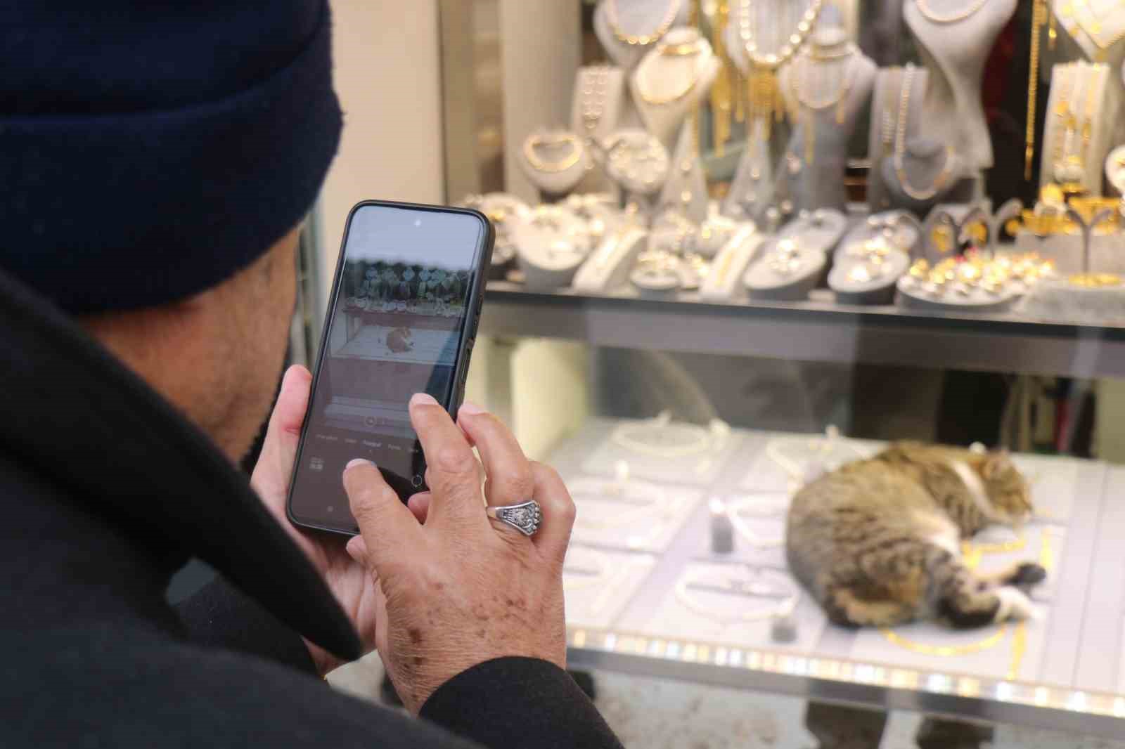 Bu kedi altınların arasında uyuyor
