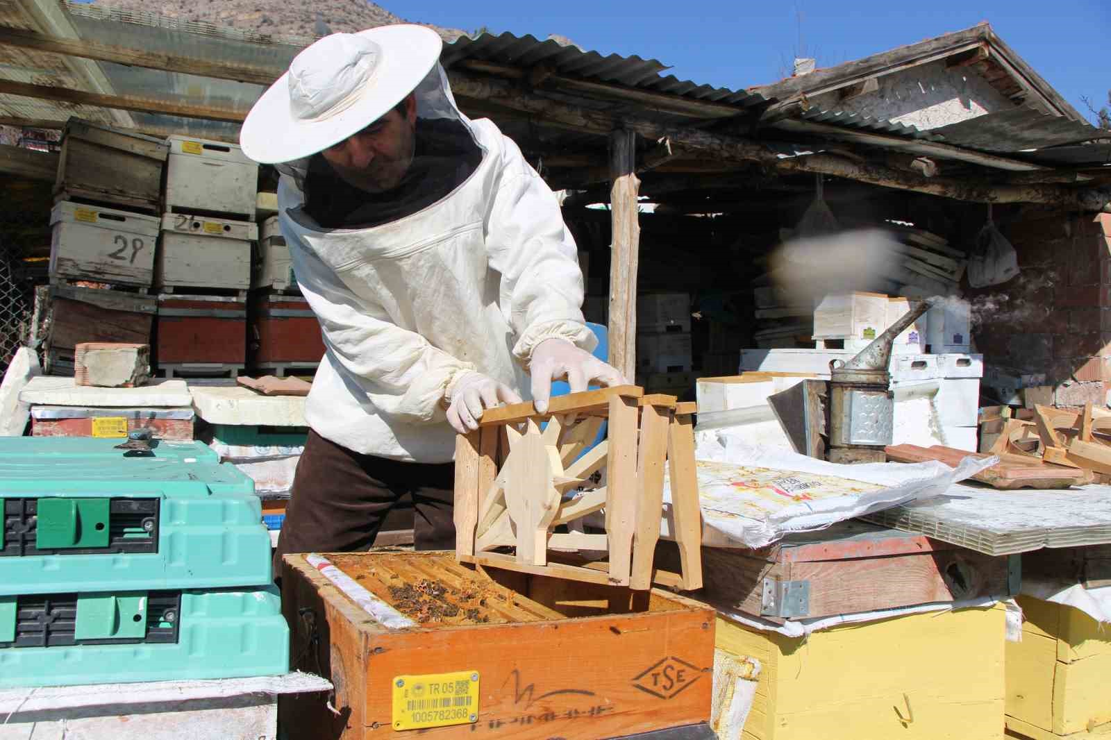 Bu seçimde kazananı ’arılar’ belirleyecek
