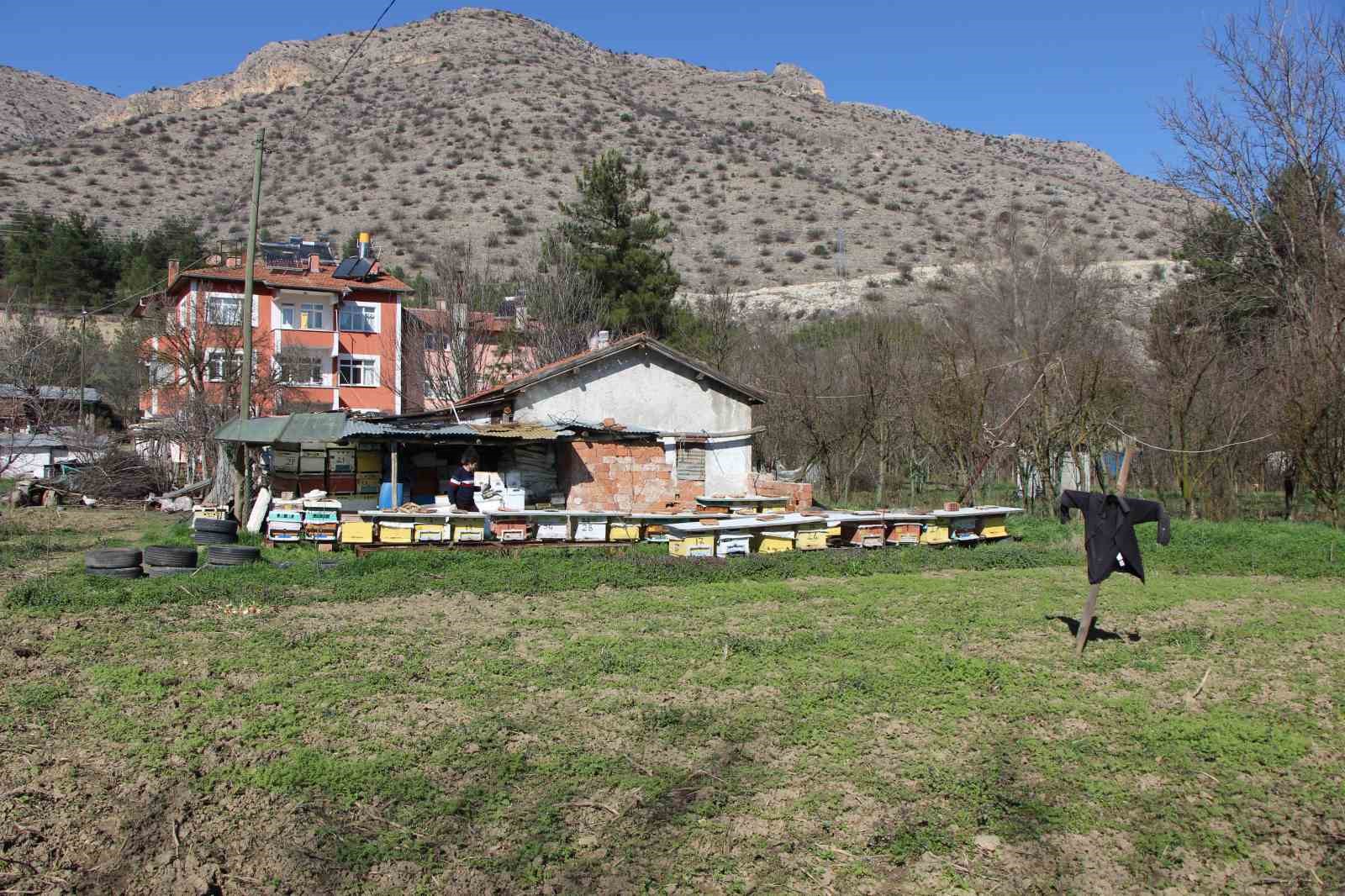 Bu seçimde kazananı ’arılar’ belirleyecek
