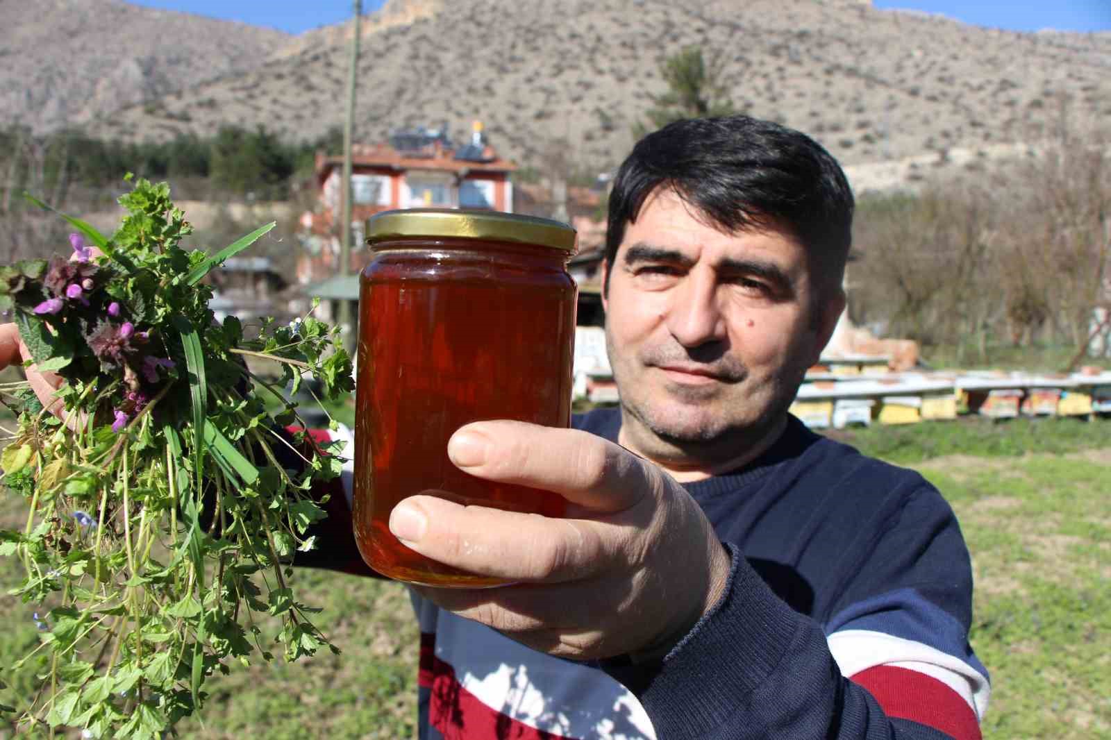 Bu seçimde kazananı ’arılar’ belirleyecek
