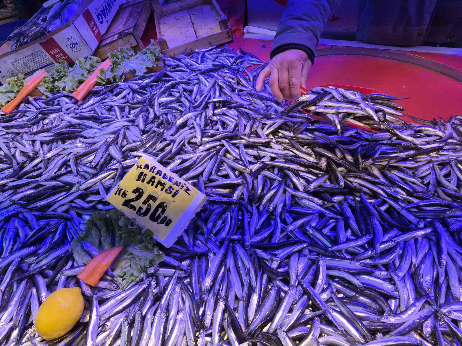 Bu sezon balık tezgahlarının gözdesi sardalya oldu
