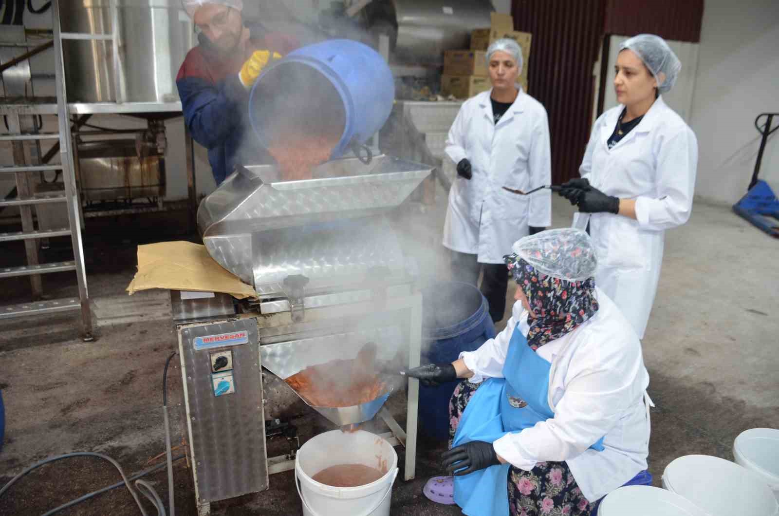 Bu tesiste günde 10 bin adet ayva ve nar lokumu üretiliyor
