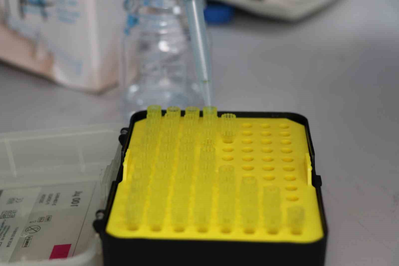 Bu yara bandı hem hızlı iyileştiriyor hem de geri dönüşüm kullanılarak yapılıyor
