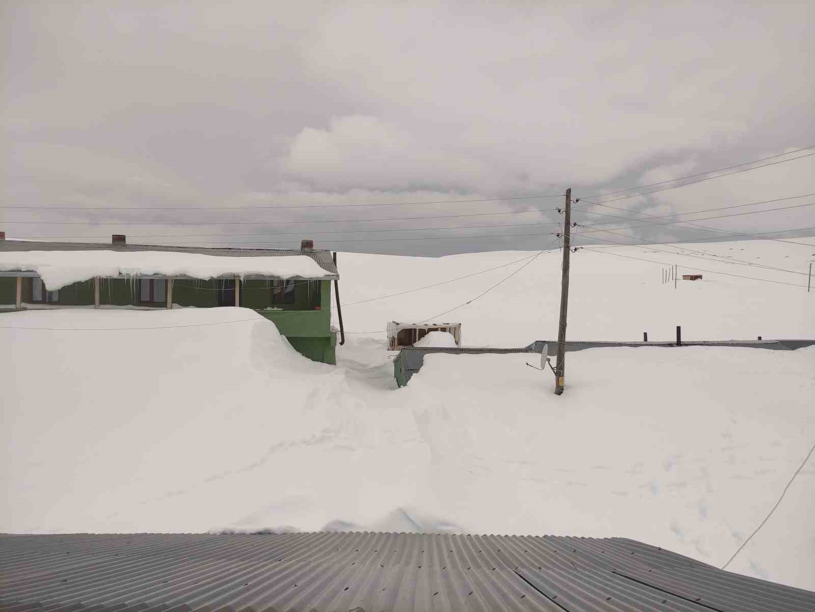 Bülbülan Yaylası’nda evler kara gömüldü
