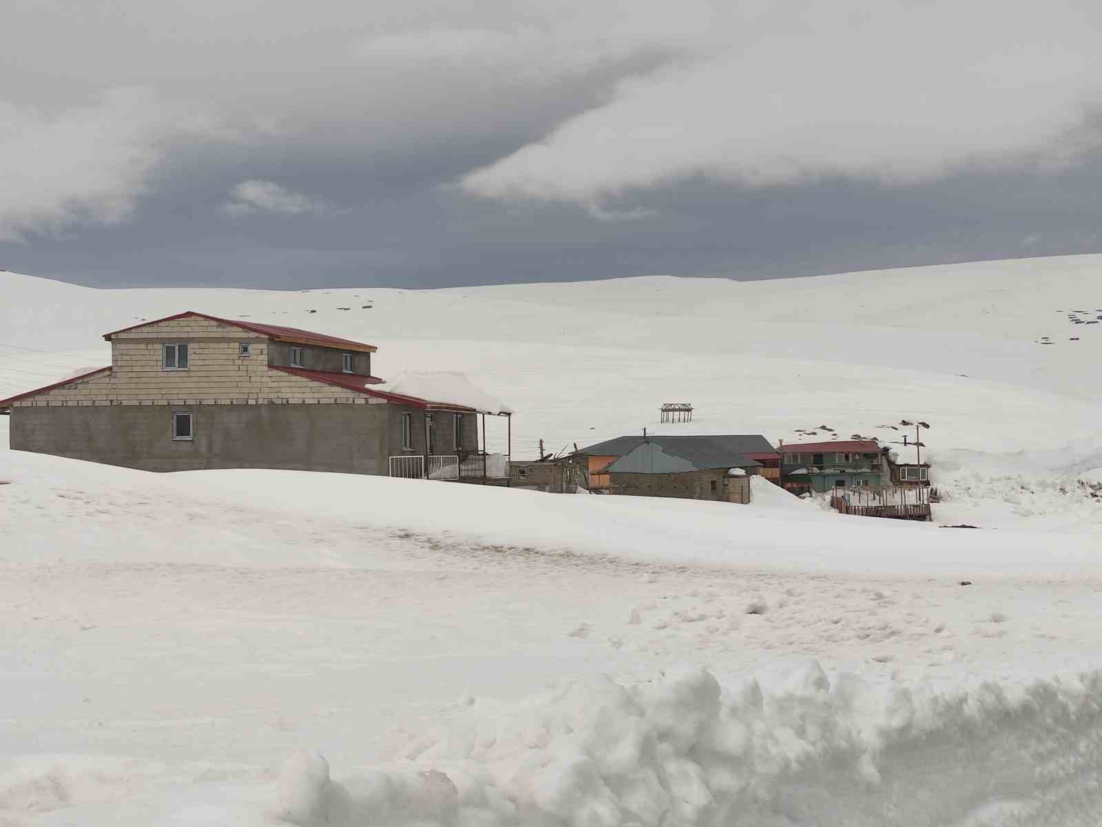 Bülbülan Yaylası’nda evler kara gömüldü
