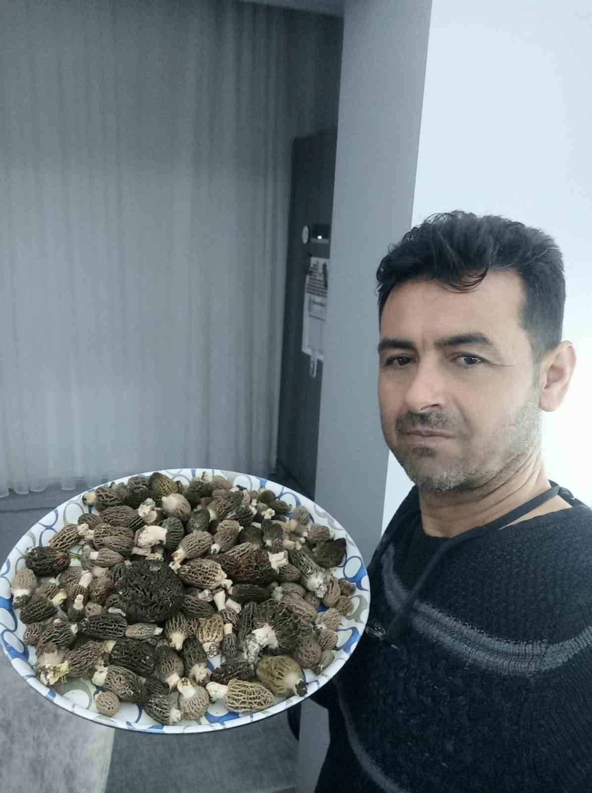 Buldan ormanlarında kuzugöbeği bereketi
