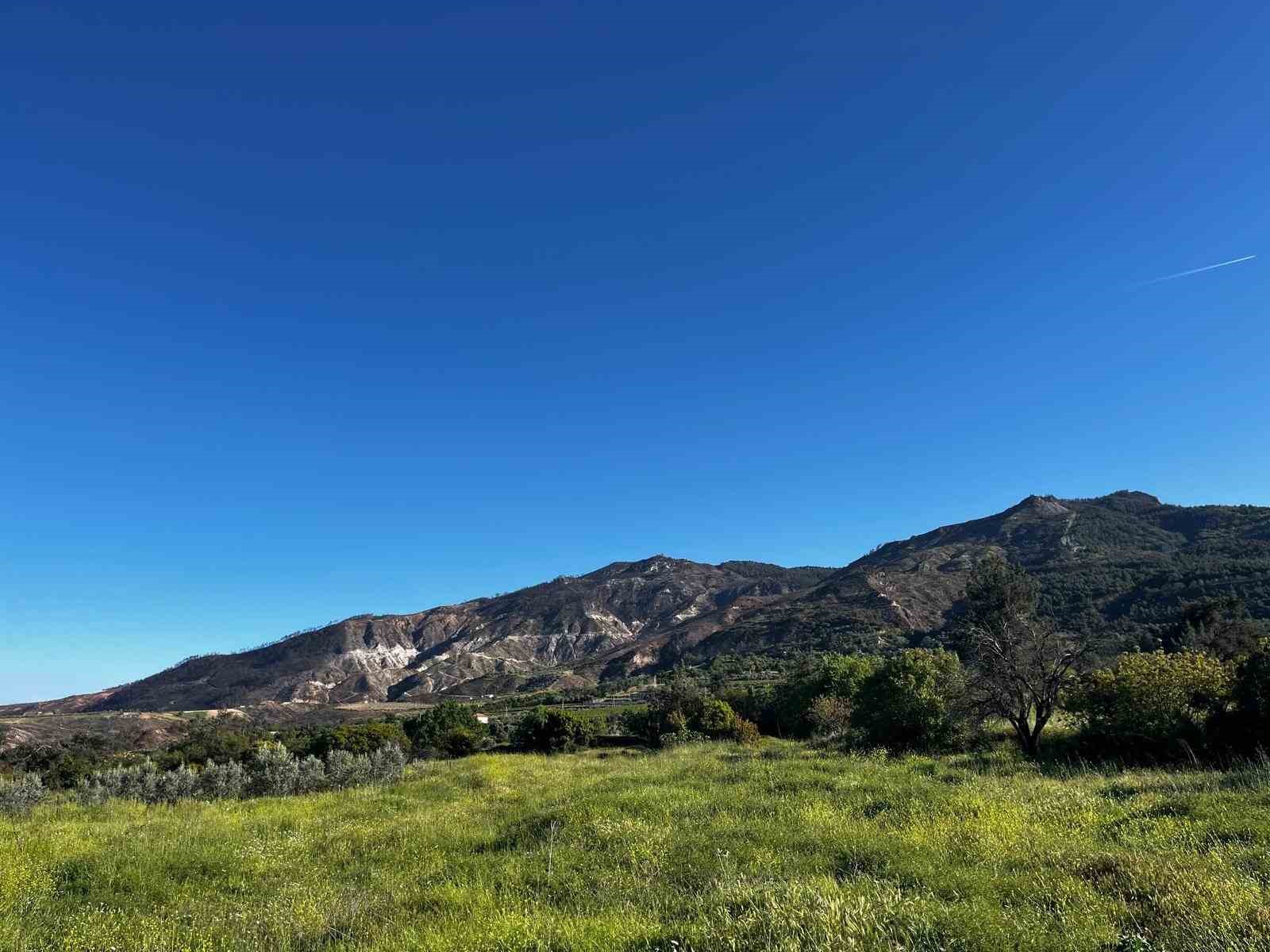 Buldan’da 5 gün süren yangının izleri dağlarda kaldı

