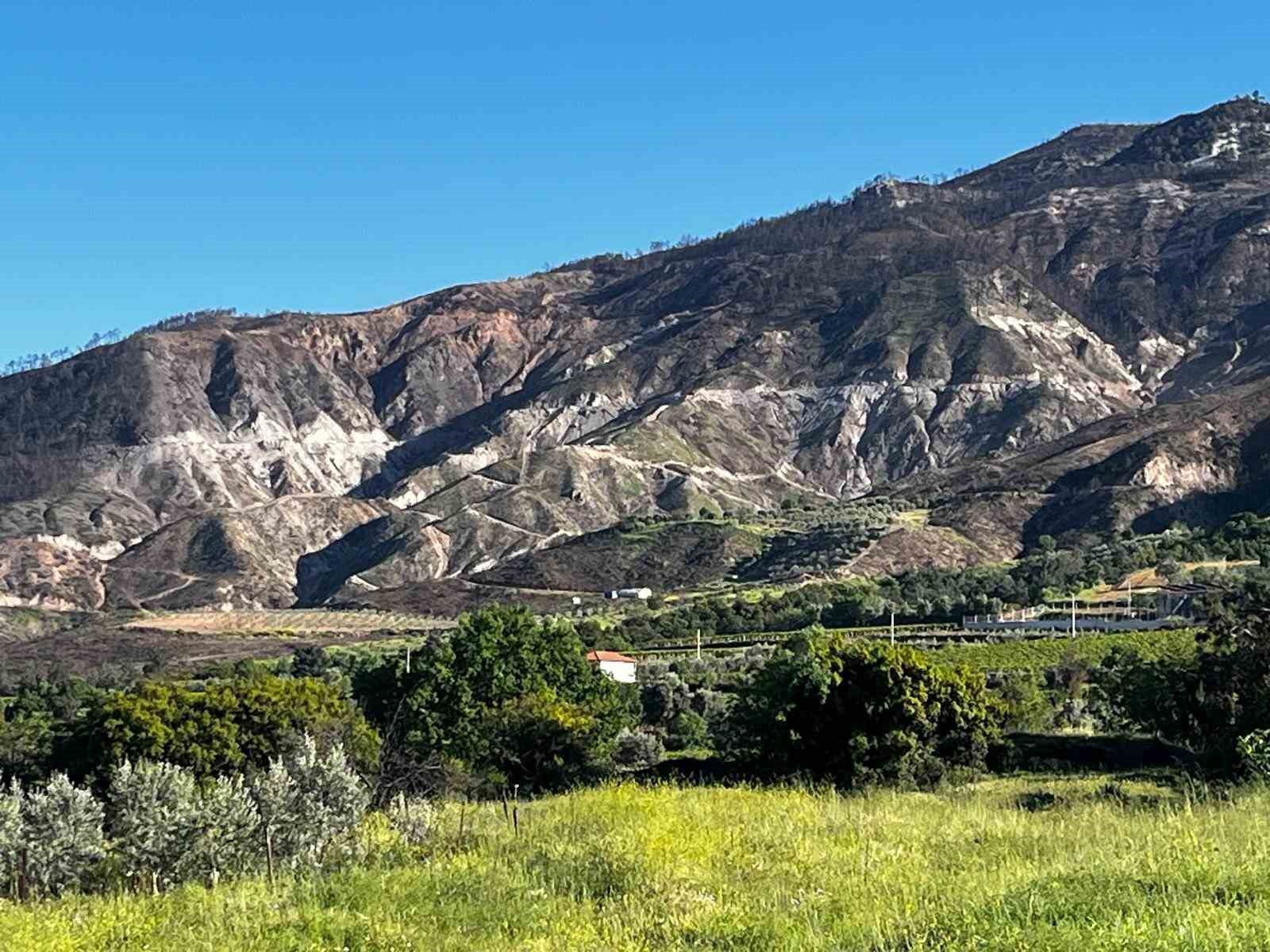 Buldan’da 5 gün süren yangının izleri dağlarda kaldı
