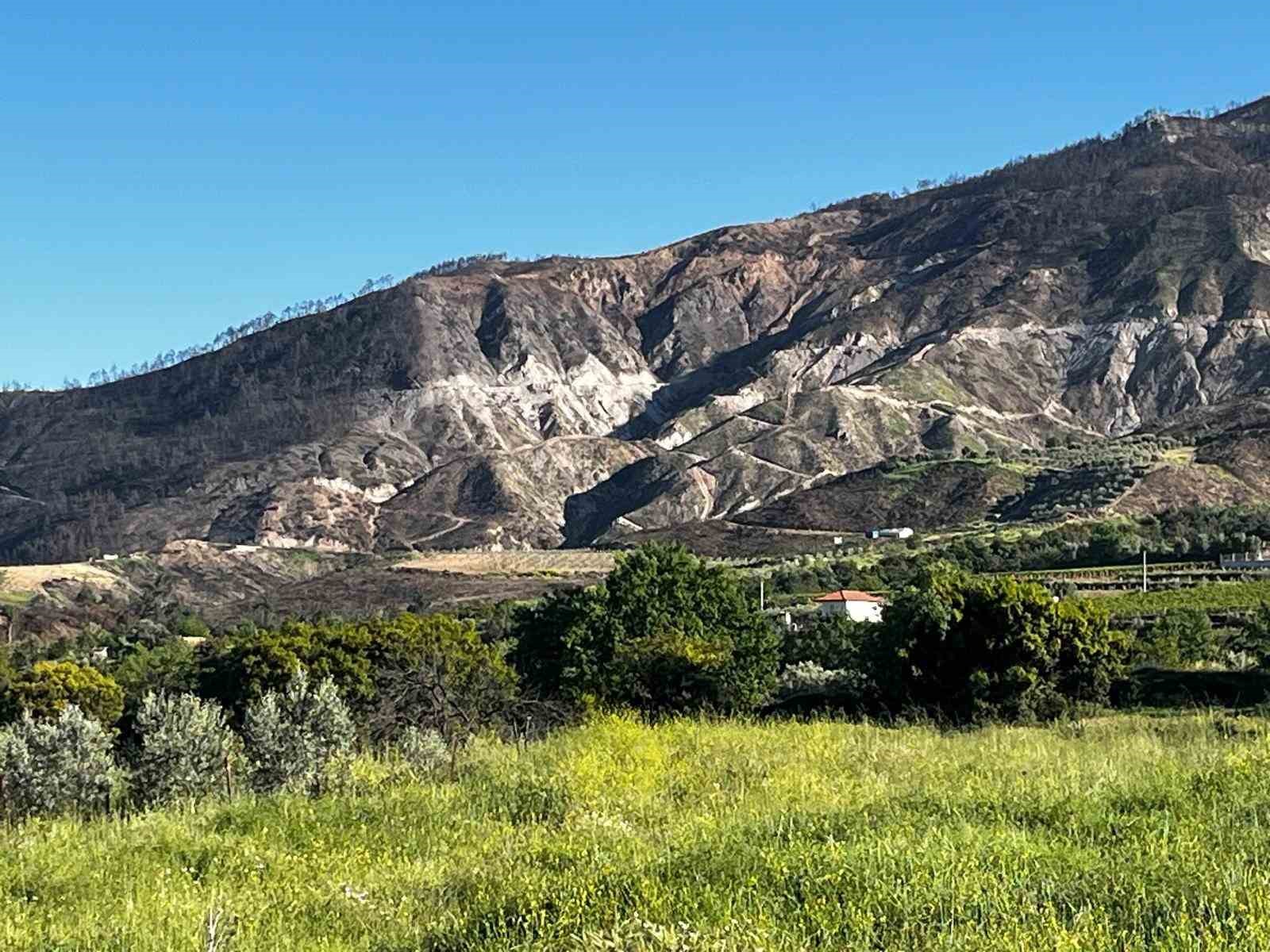 Buldan’da 5 gün süren yangının izleri dağlarda kaldı
