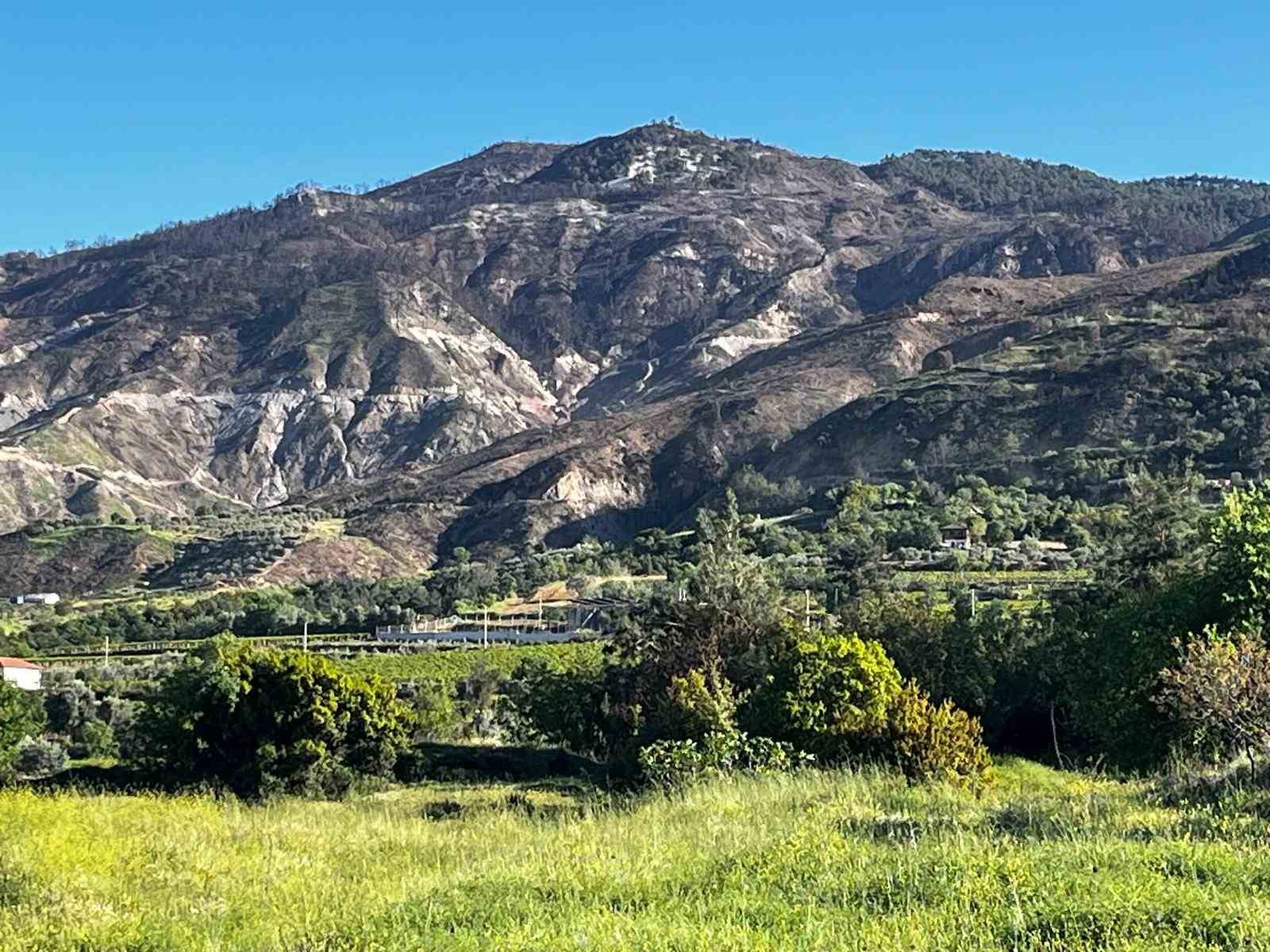 Buldan’da 5 gün süren yangının izleri dağlarda kaldı
