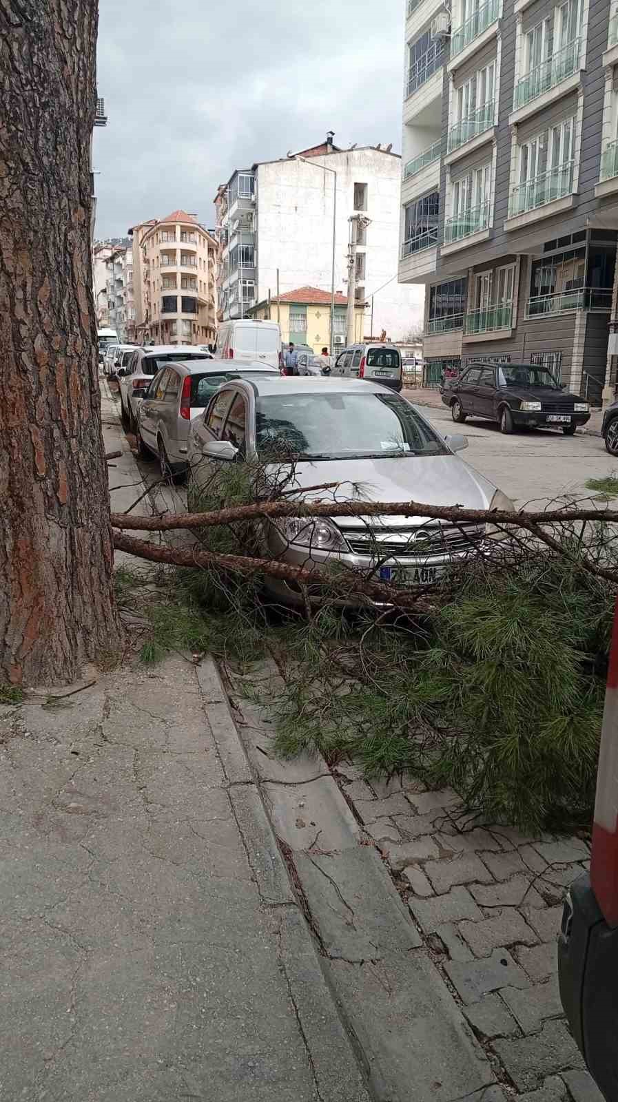 Buldan’da ağaçlar devrildi, bacalar uçtu
