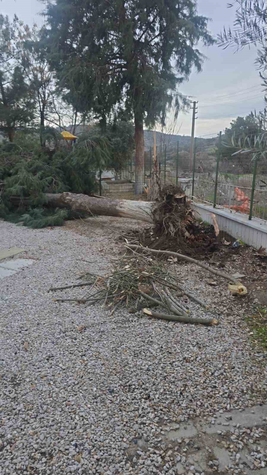 Buldan’da ağaçlar devrildi, bacalar uçtu
