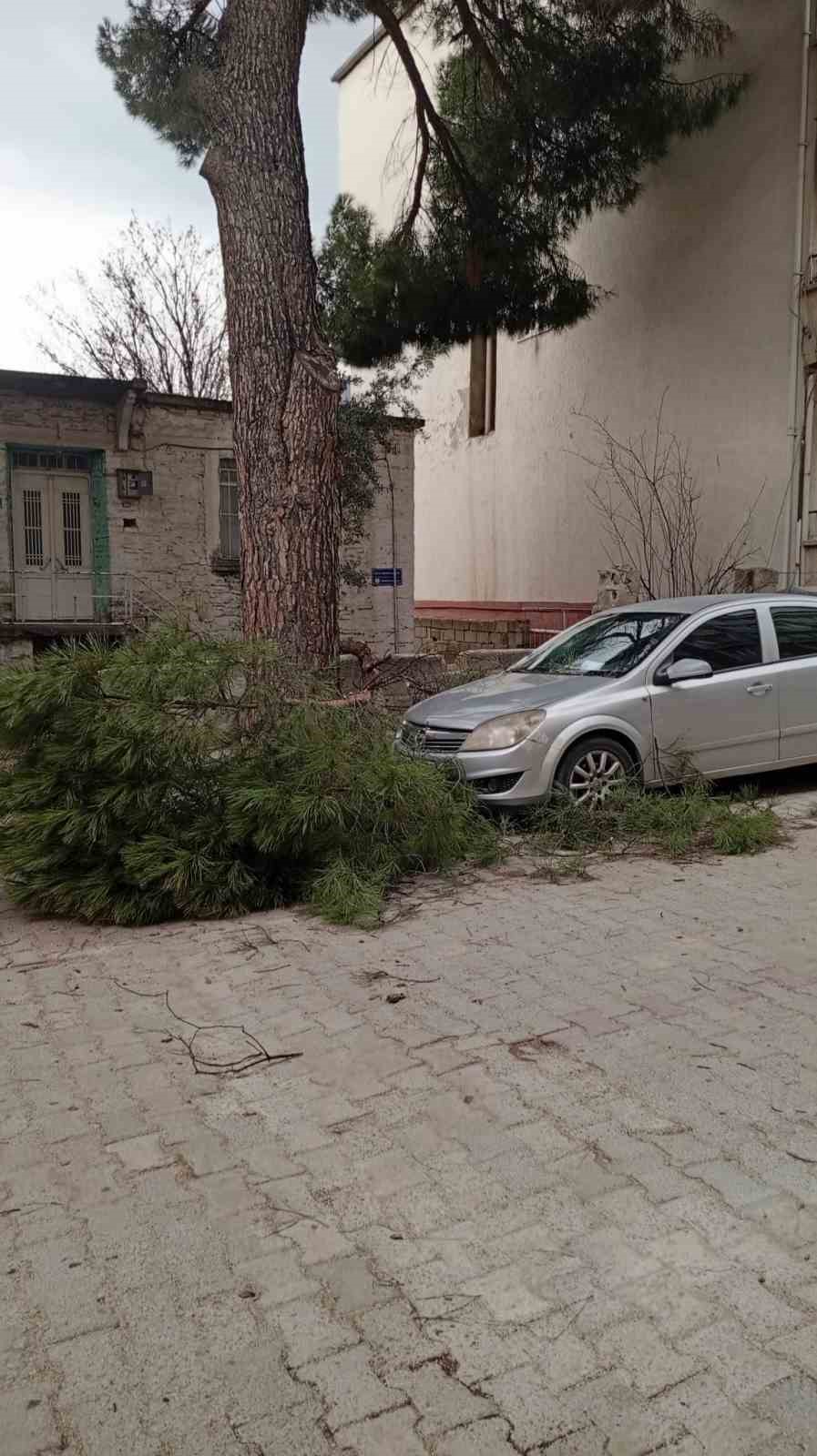 Buldan’da ağaçlar devrildi, bacalar uçtu
