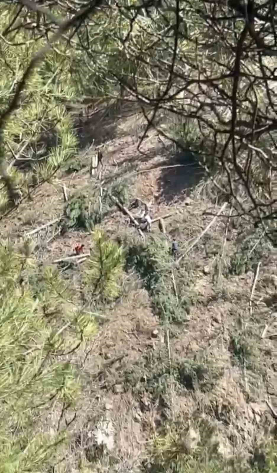 Buldan’da tartışmalı maden sahasında ağaç kesimi başladı
