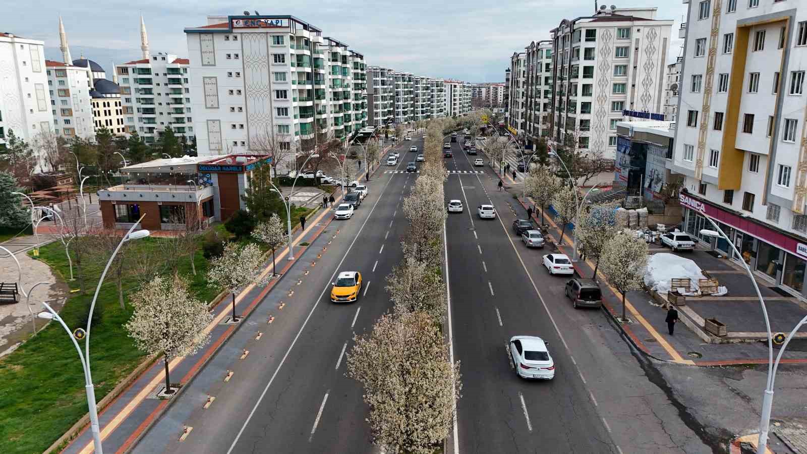 Bulvarlar süs armutlarıyla görsel şölene dönüştü
