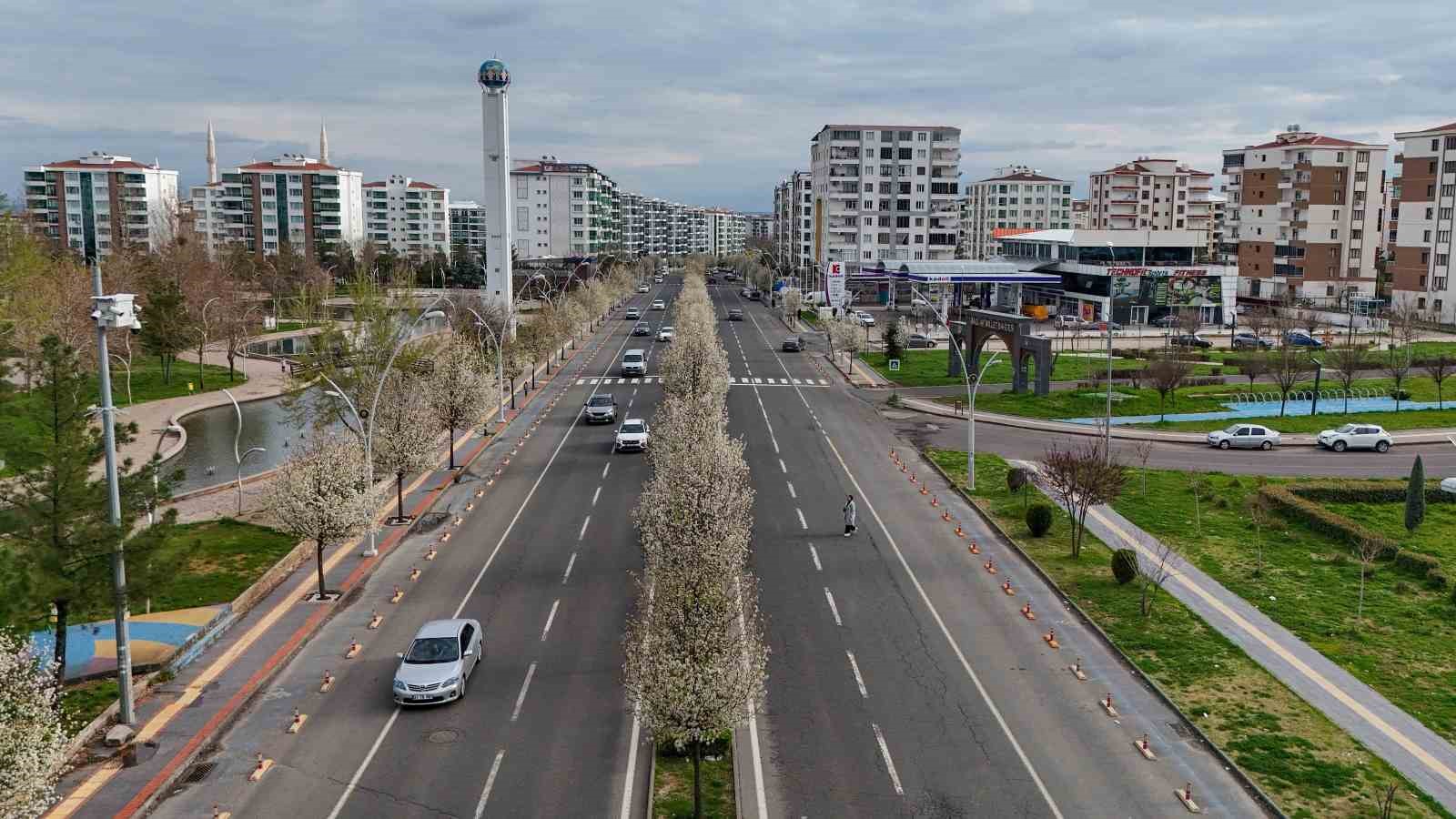 Bulvarlar süs armutlarıyla görsel şölene dönüştü
