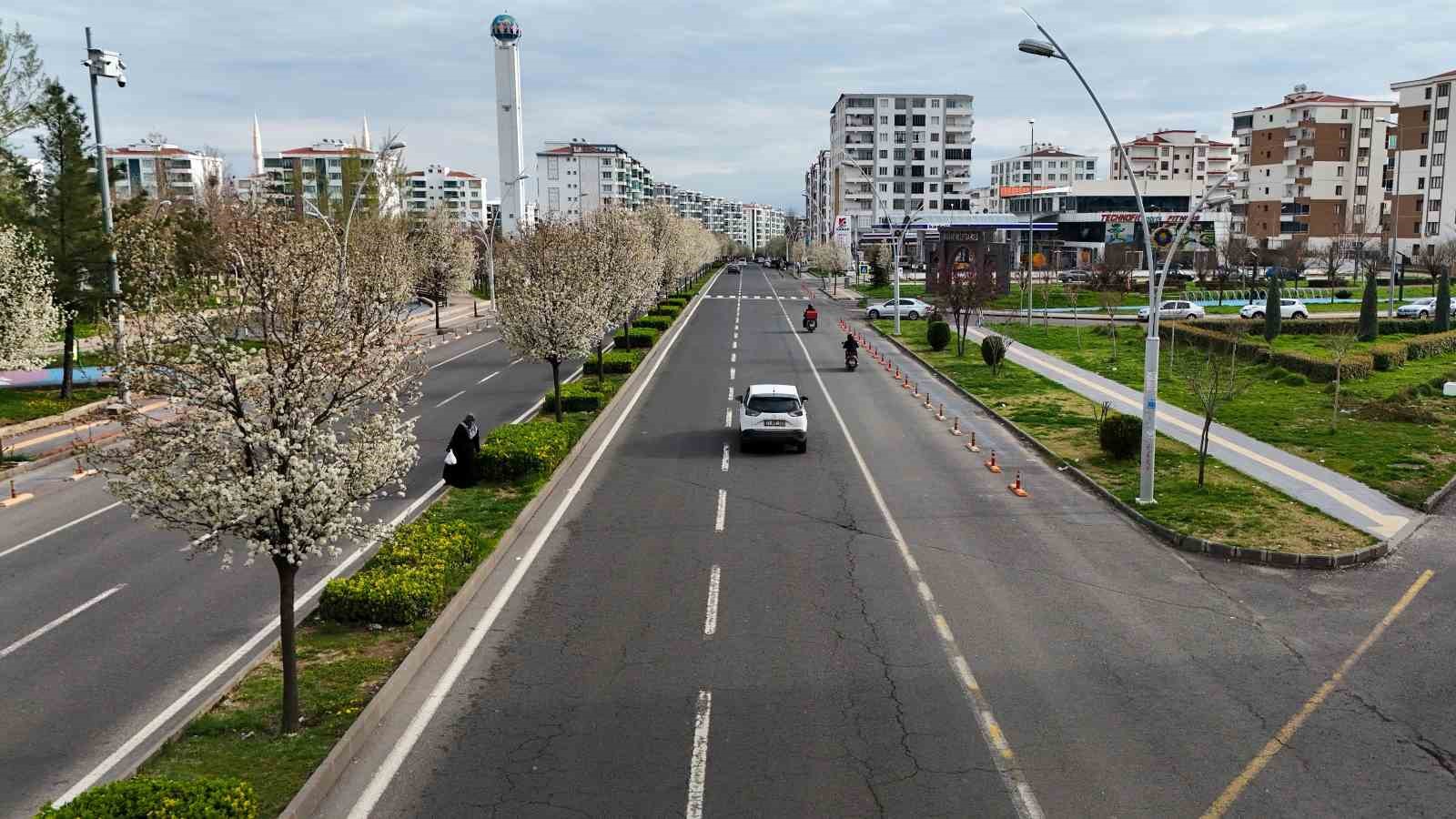 Bulvarlar süs armutlarıyla görsel şölene dönüştü
